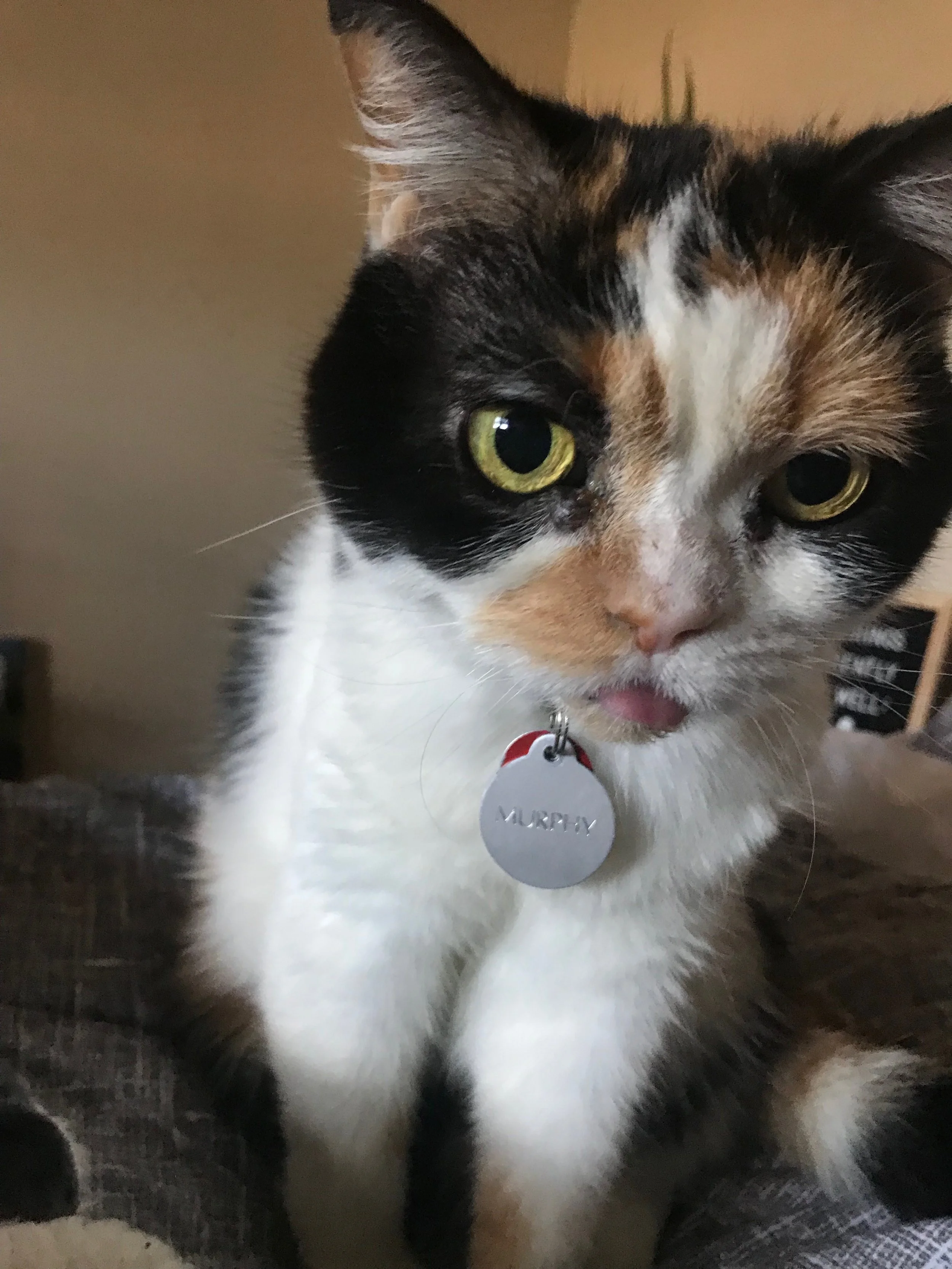 Murphy sticking out her tongue