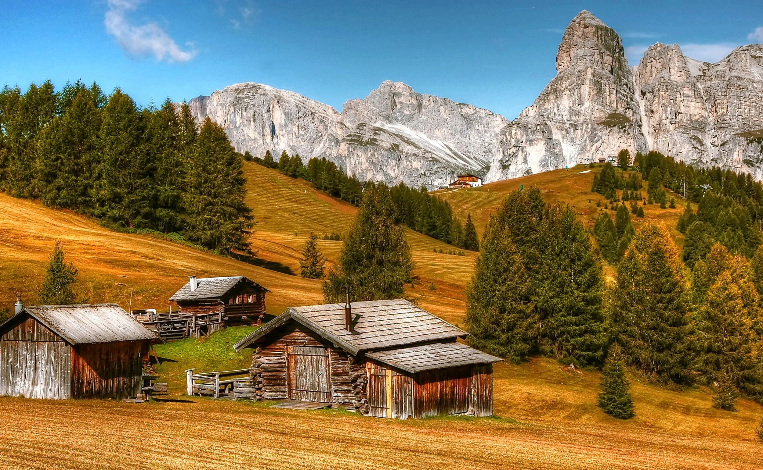 Washingtons Last Frontier Wilderness Living.jpg