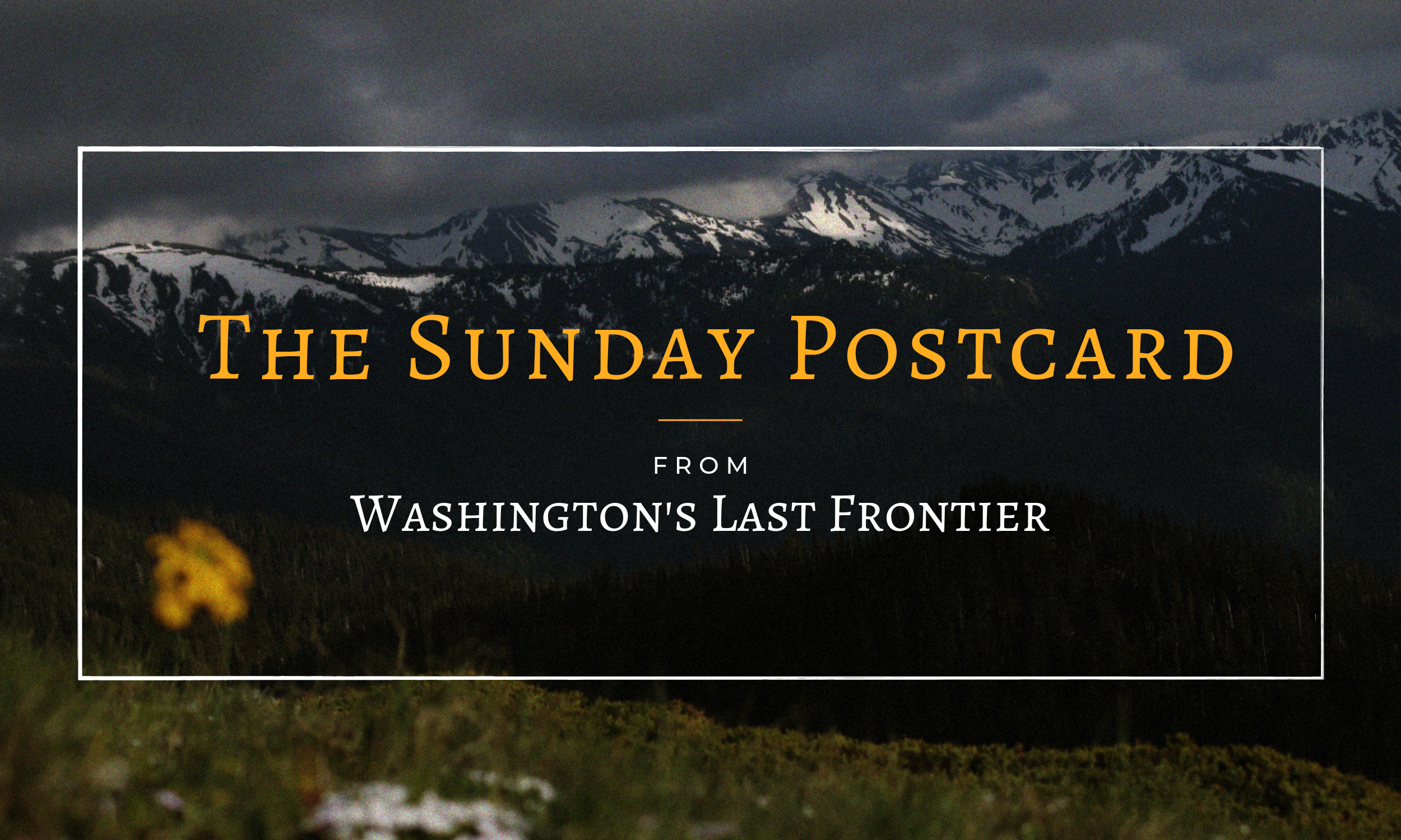 Washington's Last Frontier Sunday Postcard.png
