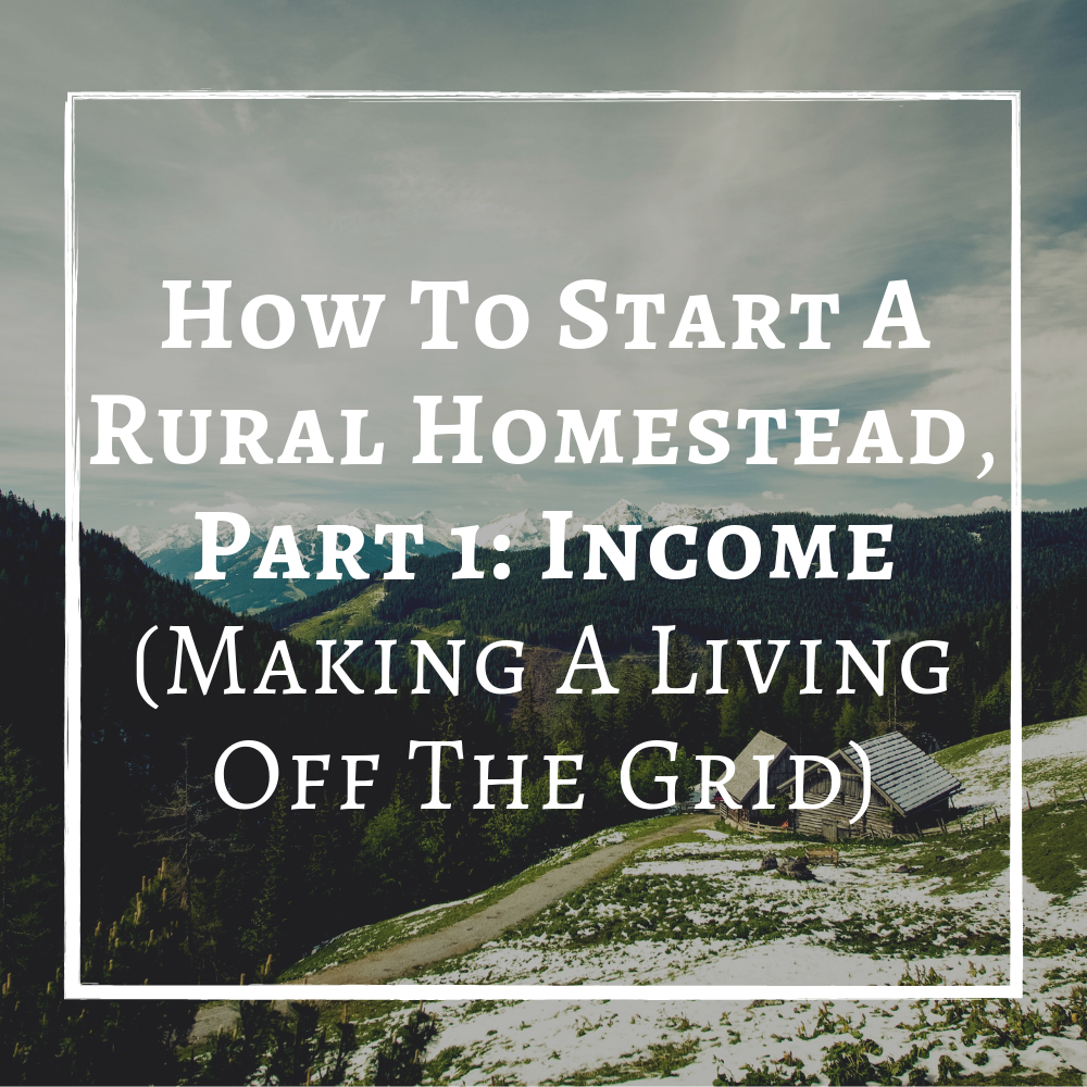 make money off grid, make money homesteading, how to start homesteading, how to begin homesteading with no money, homesteading from scratch