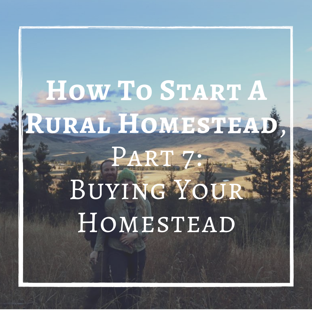 How To Start A Rural Homestead Finding Property Finding Land Buy Homestead Property