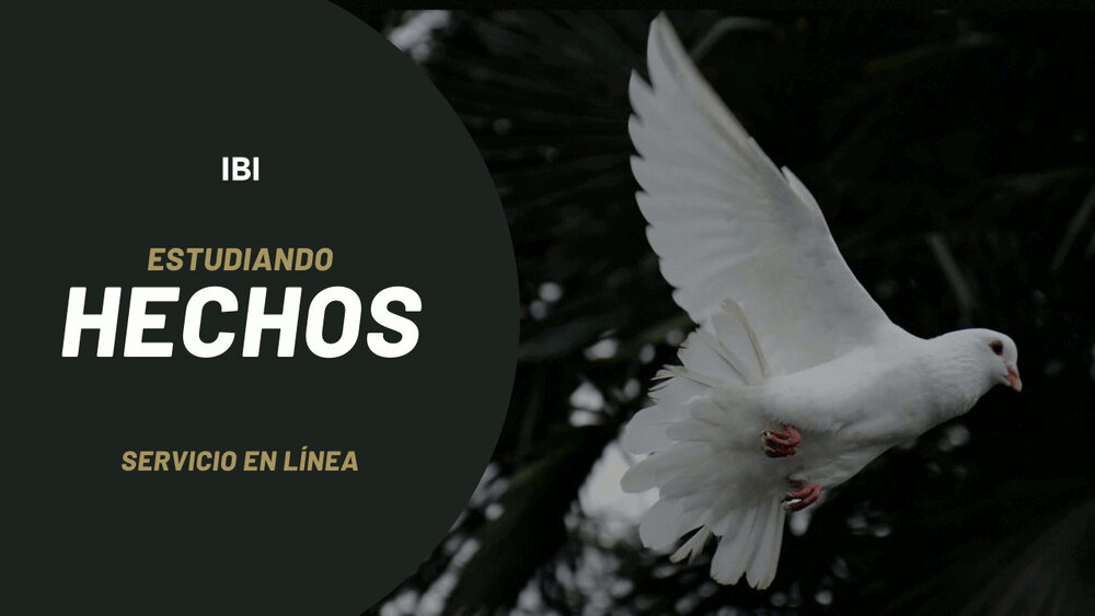 En vivo | IBI En vivo | IBI