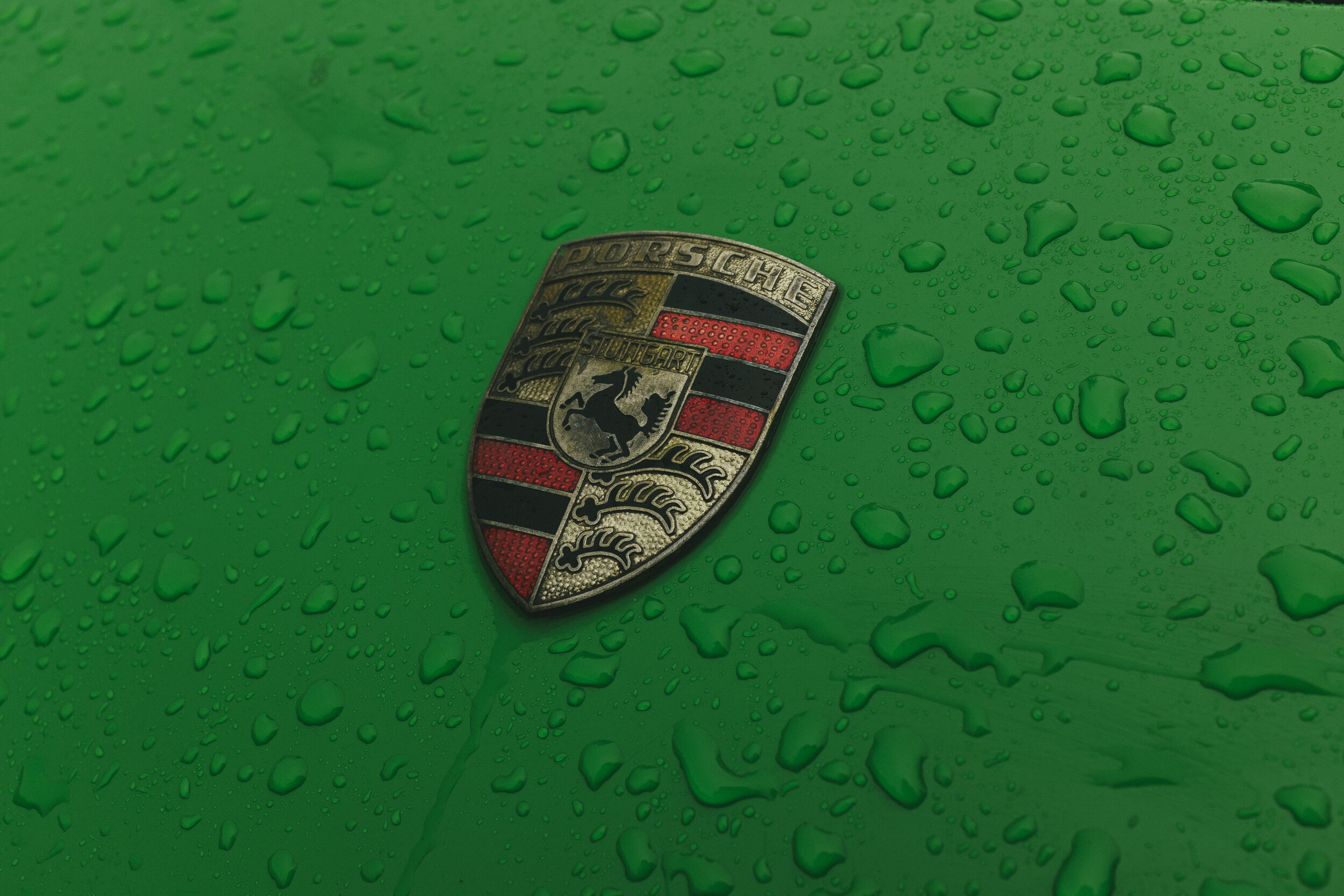 DSCF8035.jpg