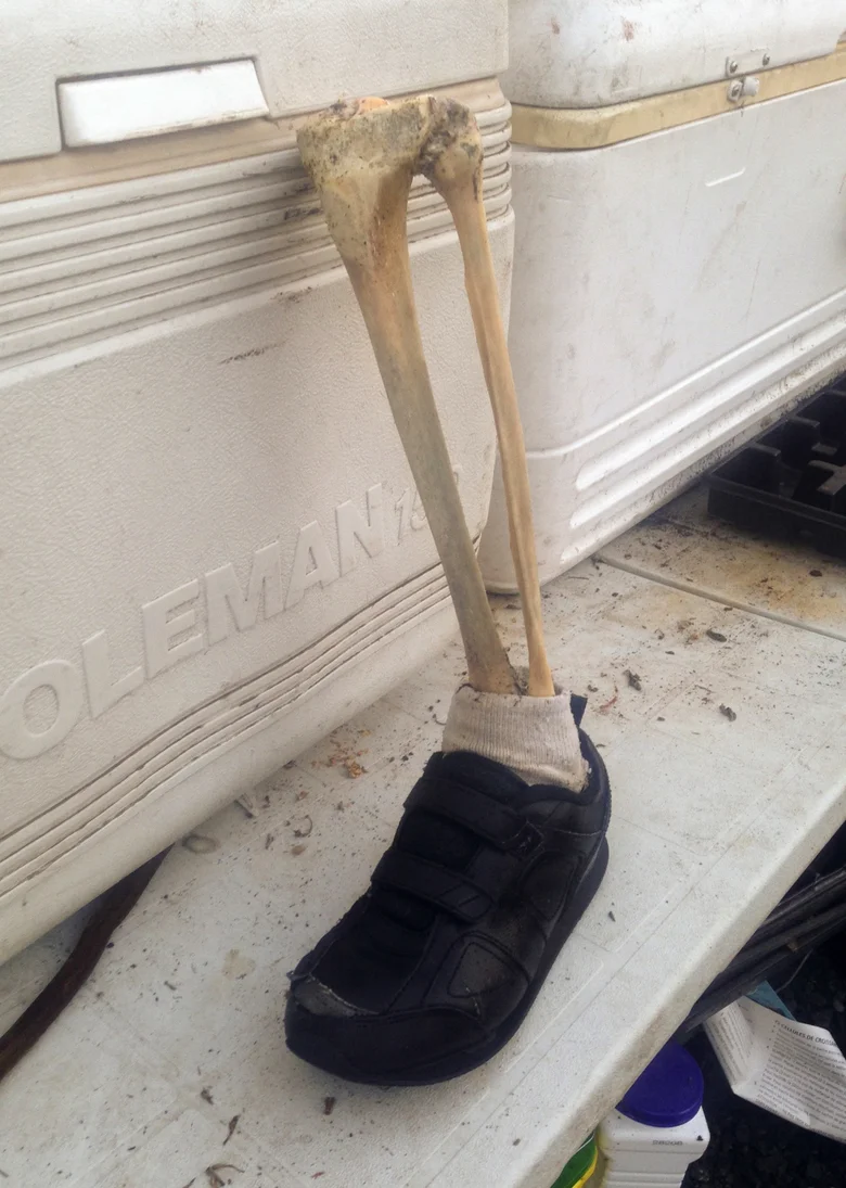 Apparently Feet Washing Ashore In British Columbia Is No Big Deal: Happens All The Time: Again, No Big Deal