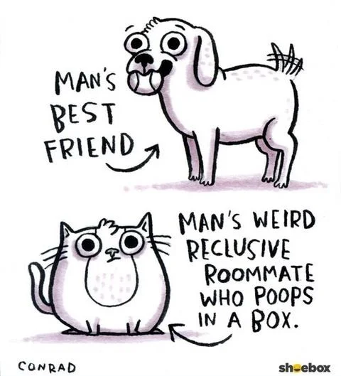 Breaking News: Owning A Dog Lowers Your Chance Of Getting Heart Disease And, Well, Dying