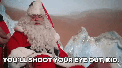9 Year Old Stops Car Theft With Pellet Gun