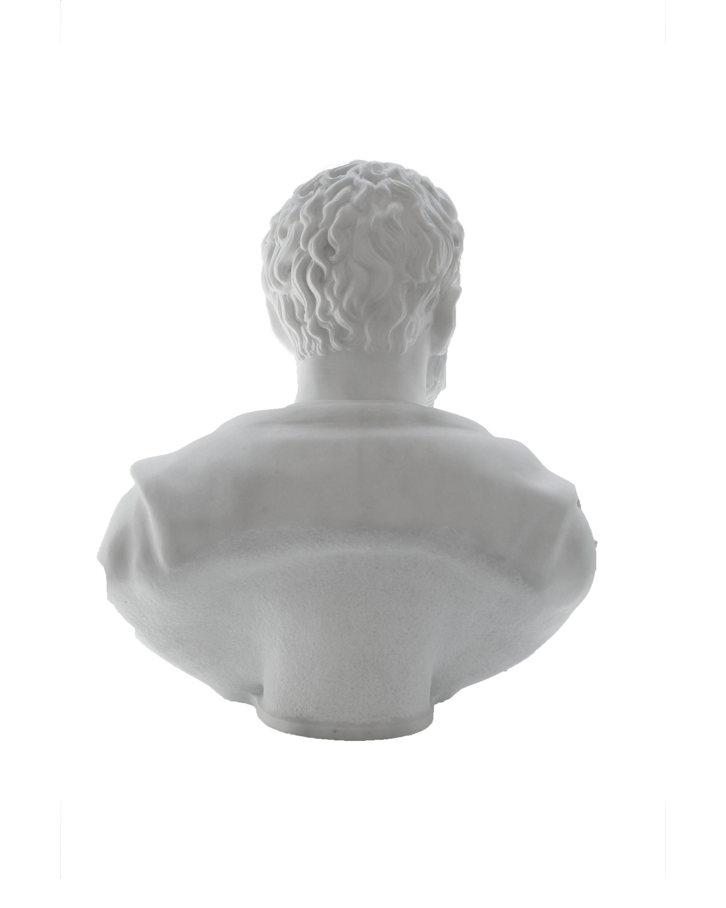Michelangelo Back.jpg