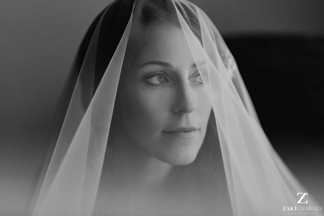 Classic natural light bridal portrait