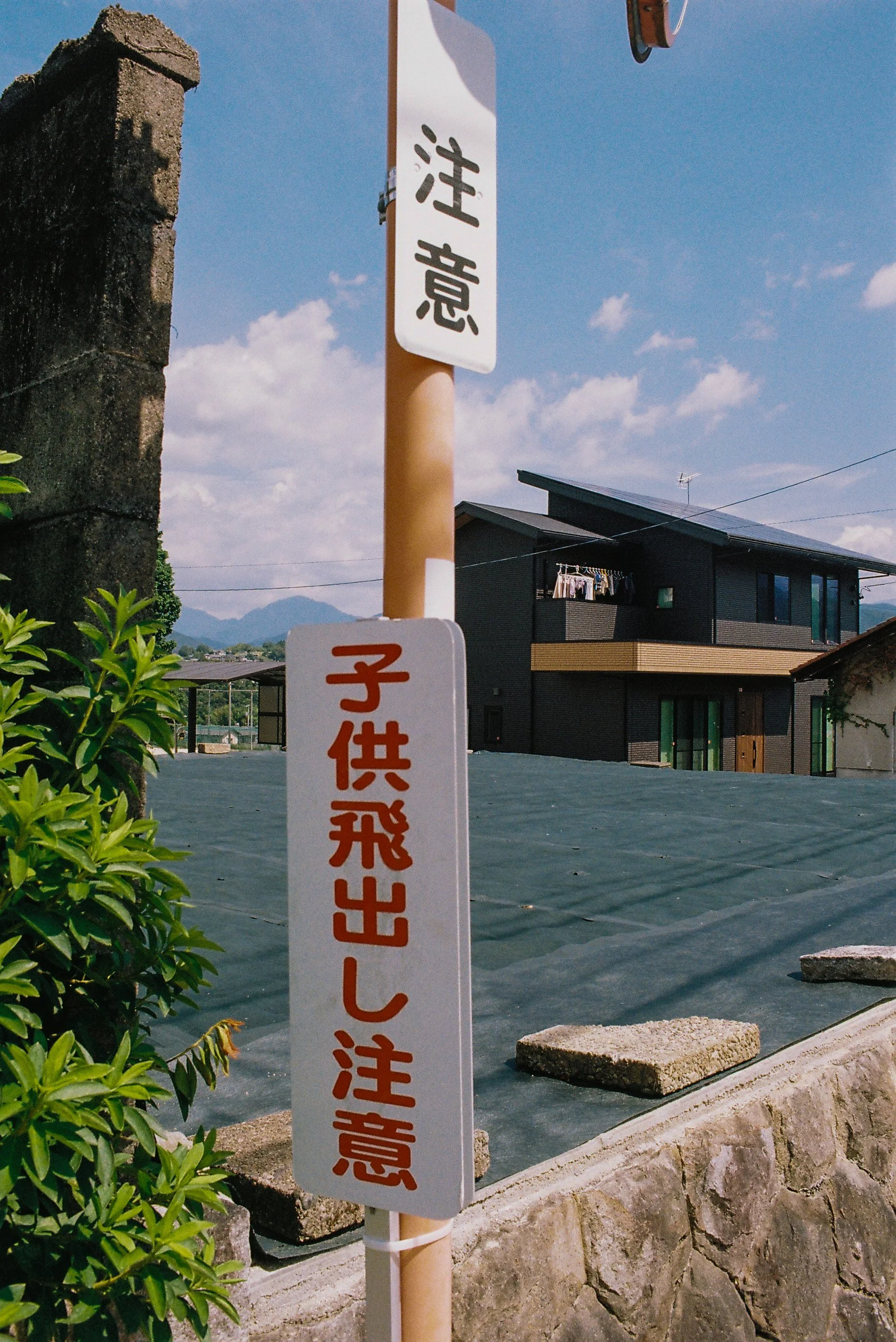 E-295.jpg
