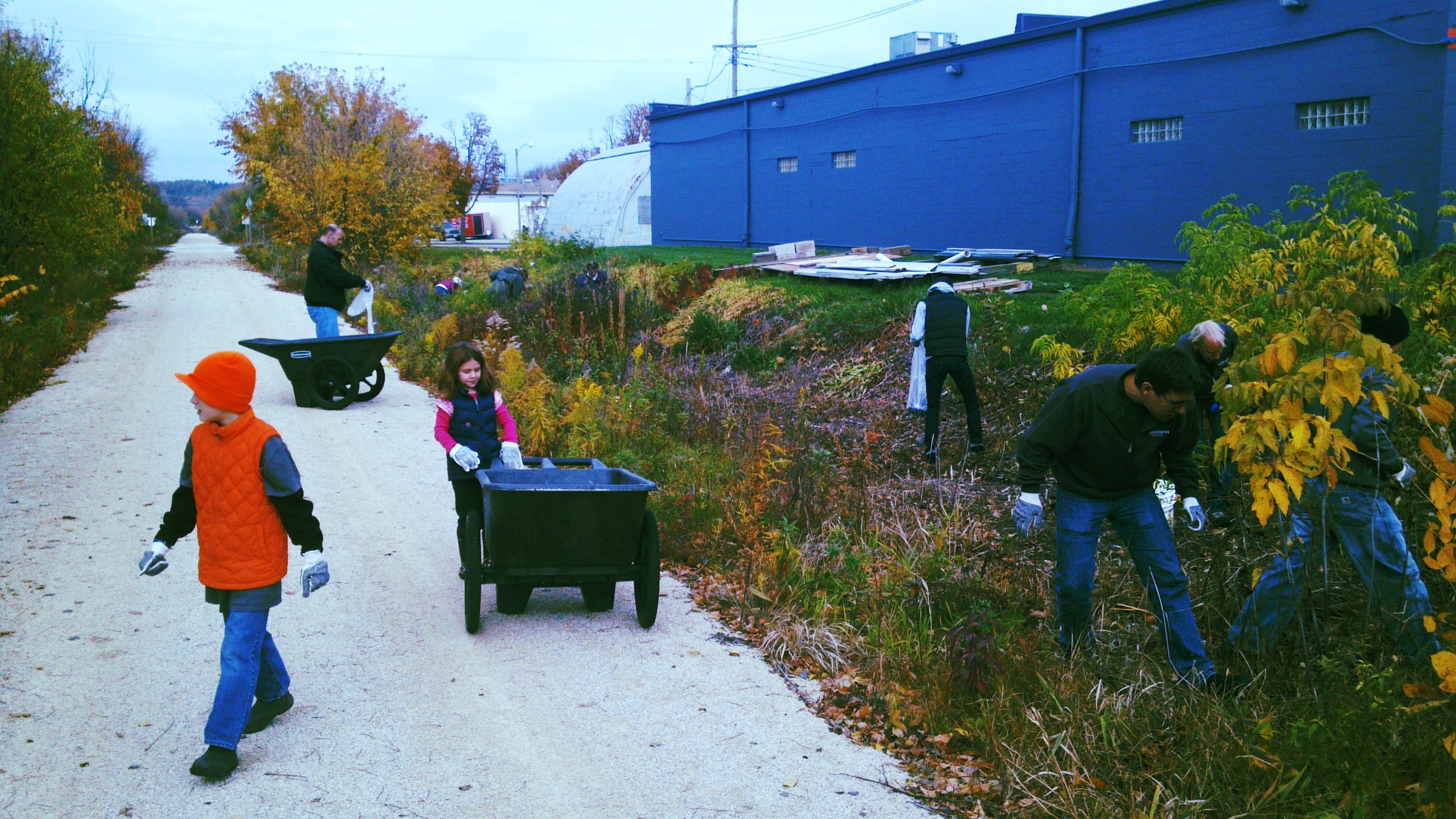 Native Plants