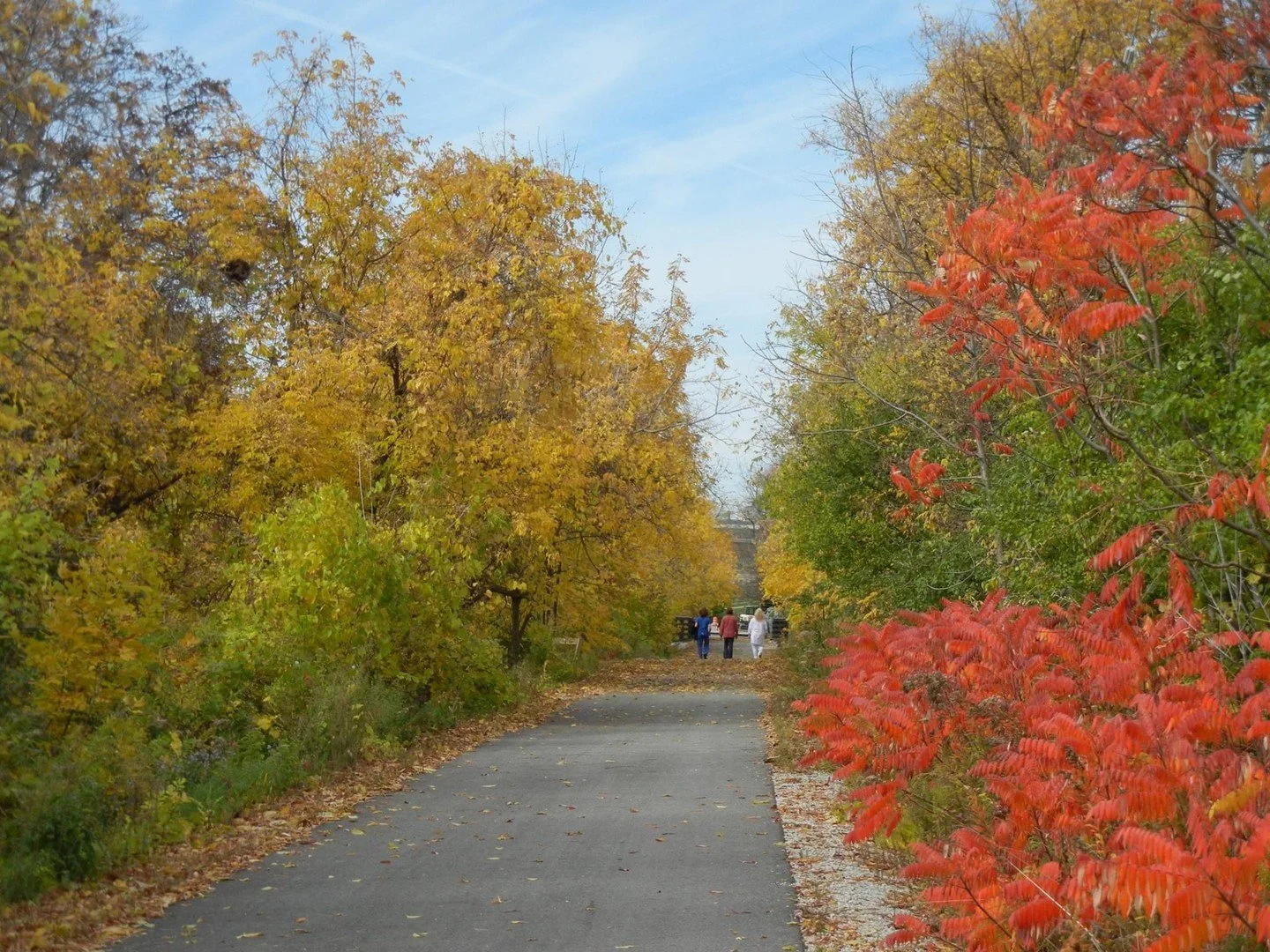 Get out on the trail to see the beautiful leaves changing colors. Check out the map on our website to see where the trail can take you! Put on a few extra layers and we will see you out there!

Check out the maps with this link: https://www.hankaaron