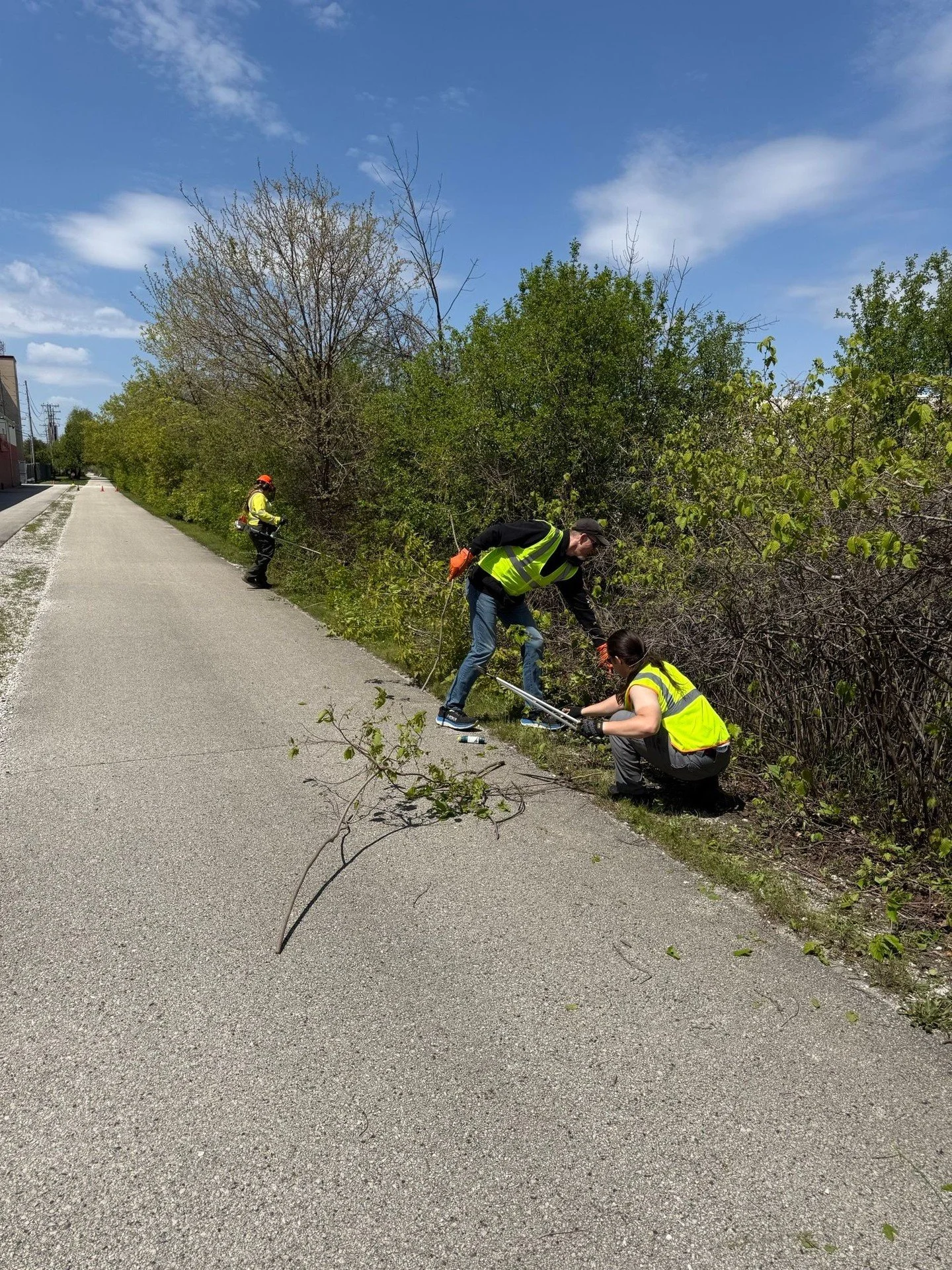 A Huge Thank YOU to an Impromptu Stew Crew of the Trail, @Element Materials Technology of New Berlin who came out to Widen the Trail and help rid the Trail of Invasives. 

You and your work group can participate, by emailing Info@HankAaronStateTrail.