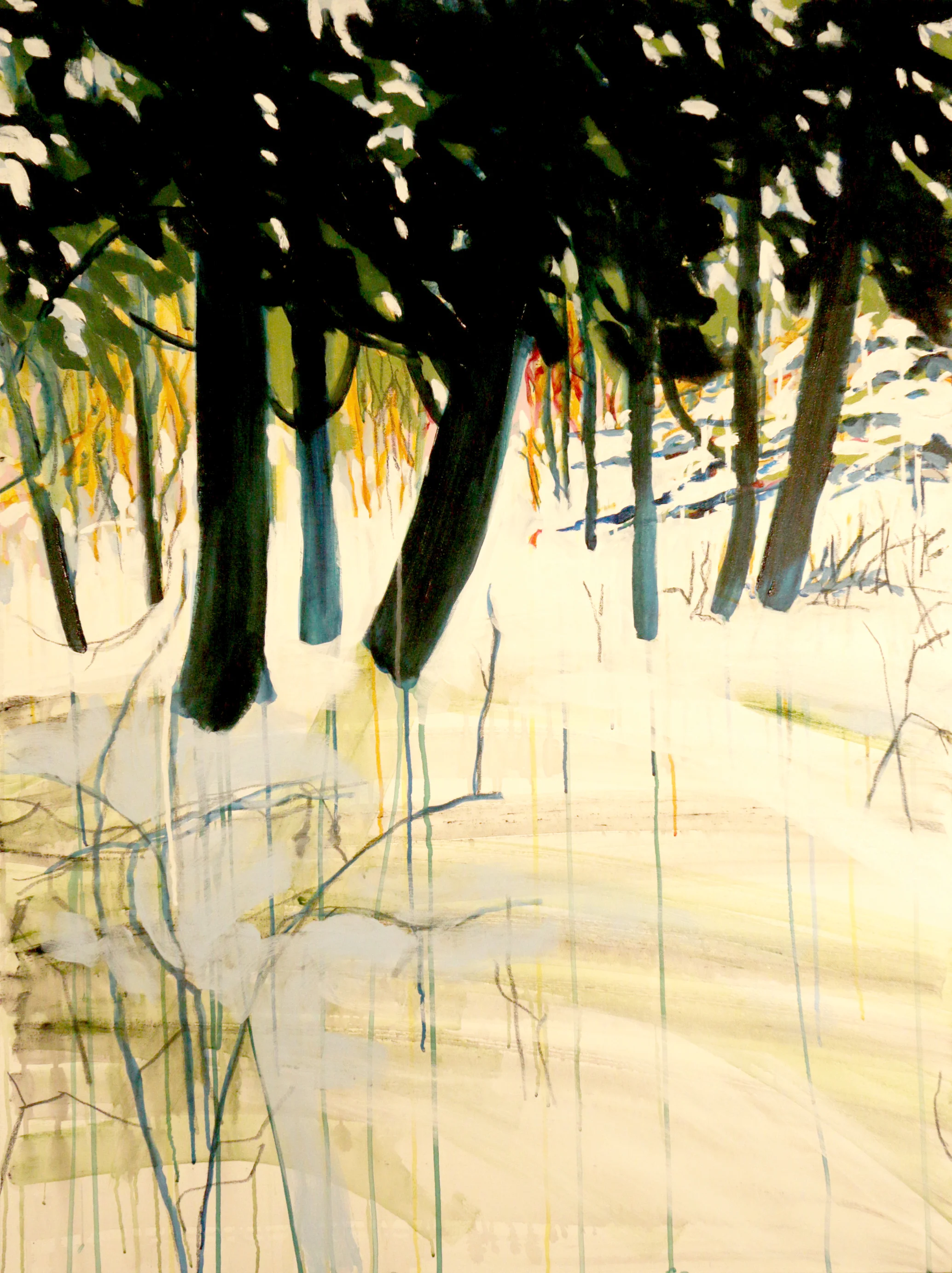 Pine Woods Snow