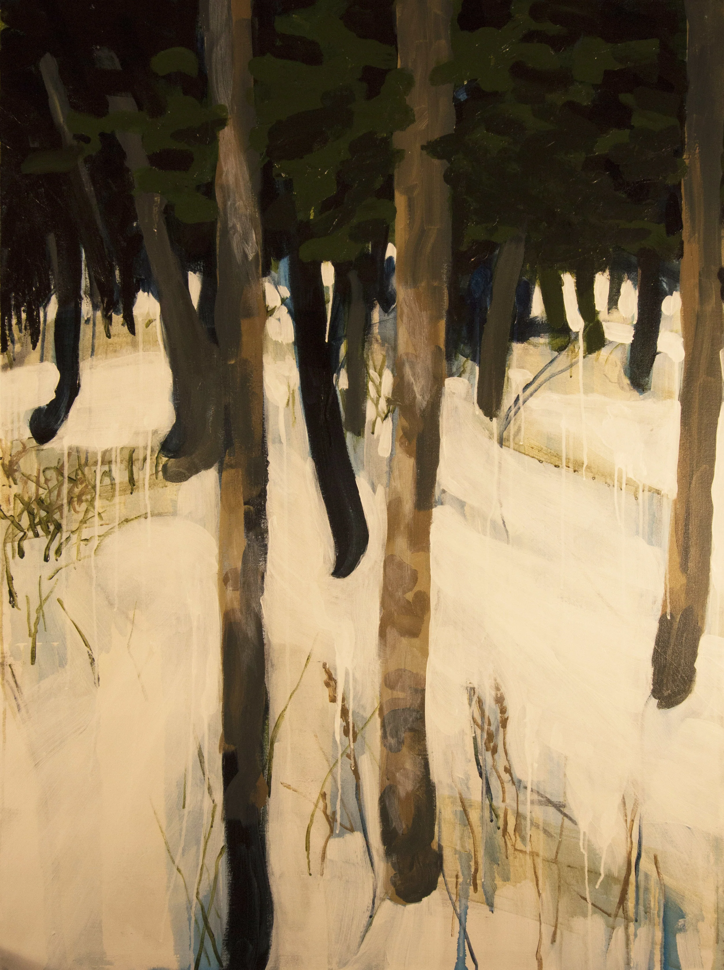 Point Beach Snow #12