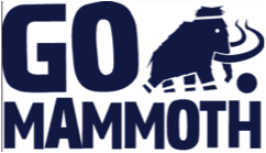 Team sports network - beginners to advanced in basketball, netball, dodgeball, football and loads more. Gomammoth.co.uk