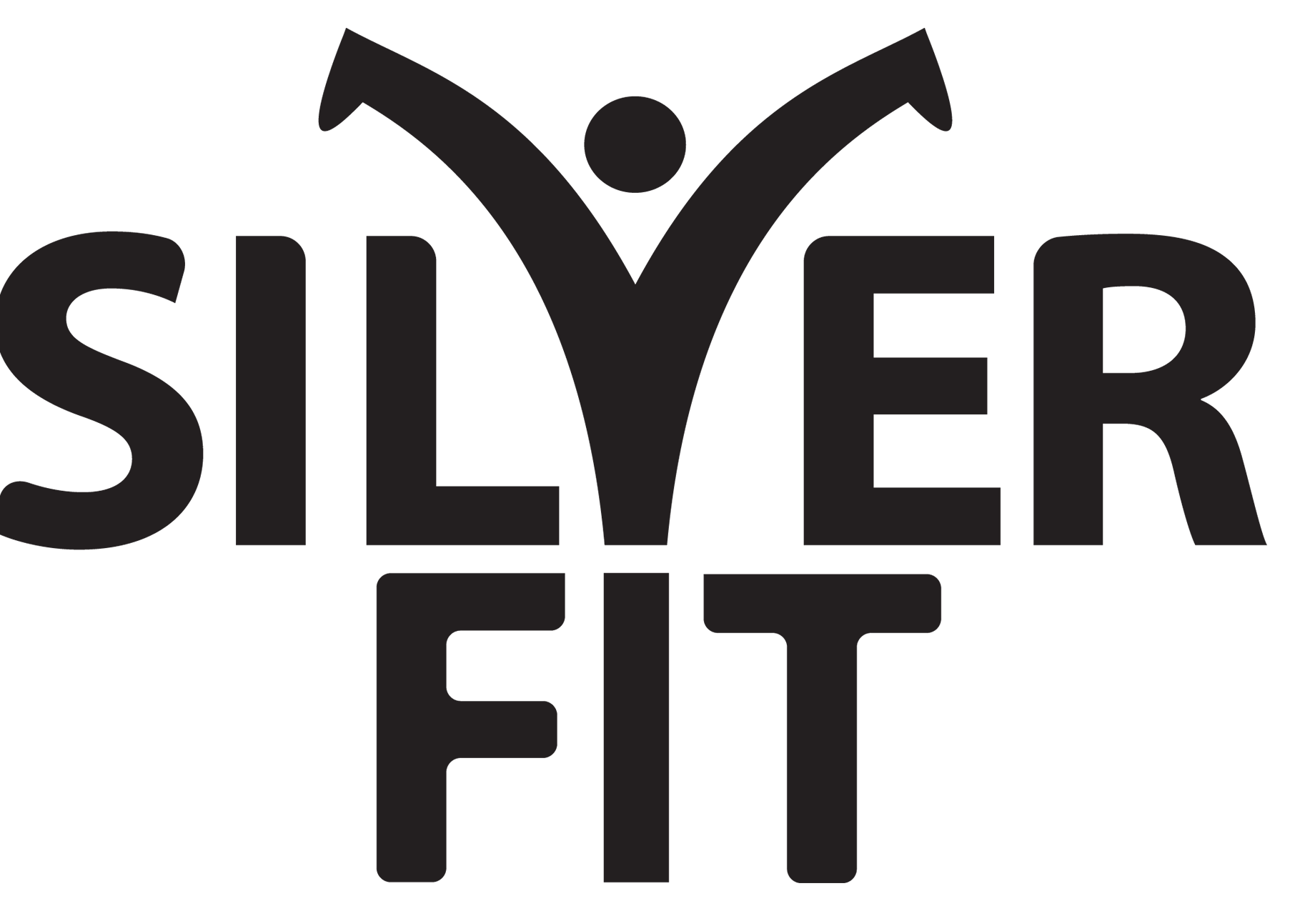silverfit logo.png