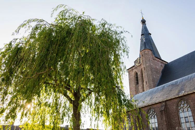kerk-09.jpg