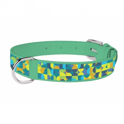 Pet collar for a total of five stamps in the passport
