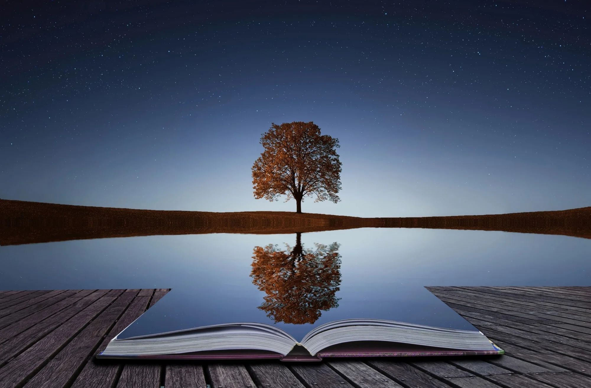 Photo Credit: Medium