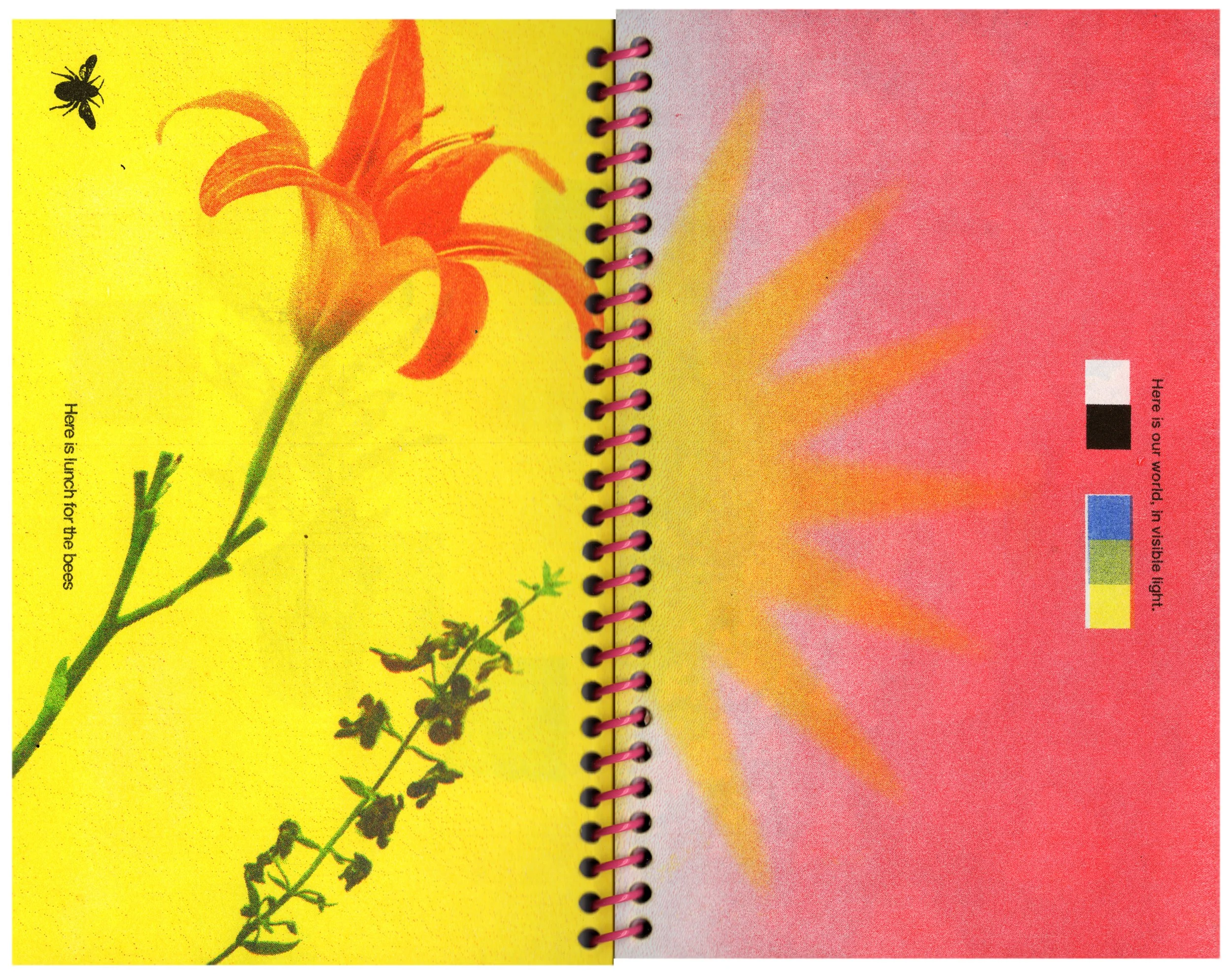 Risograph Scraps Zine '21-'23 — Sunroom