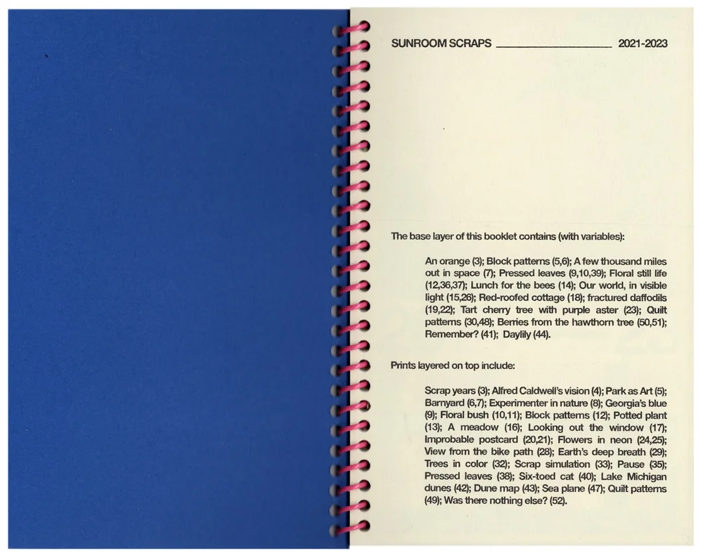 Risograph Scraps Zine '21-'23 — Sunroom