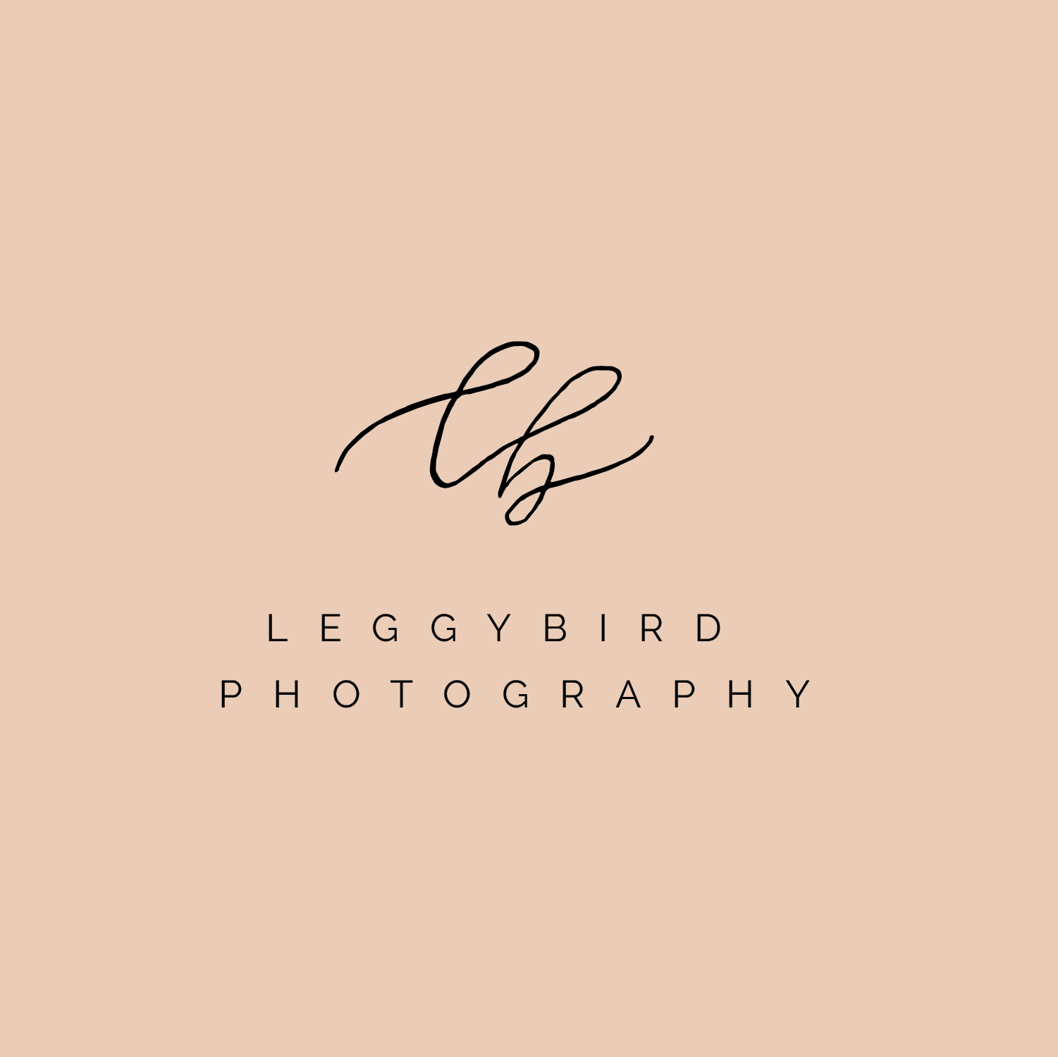 Branding design for creative businesses.