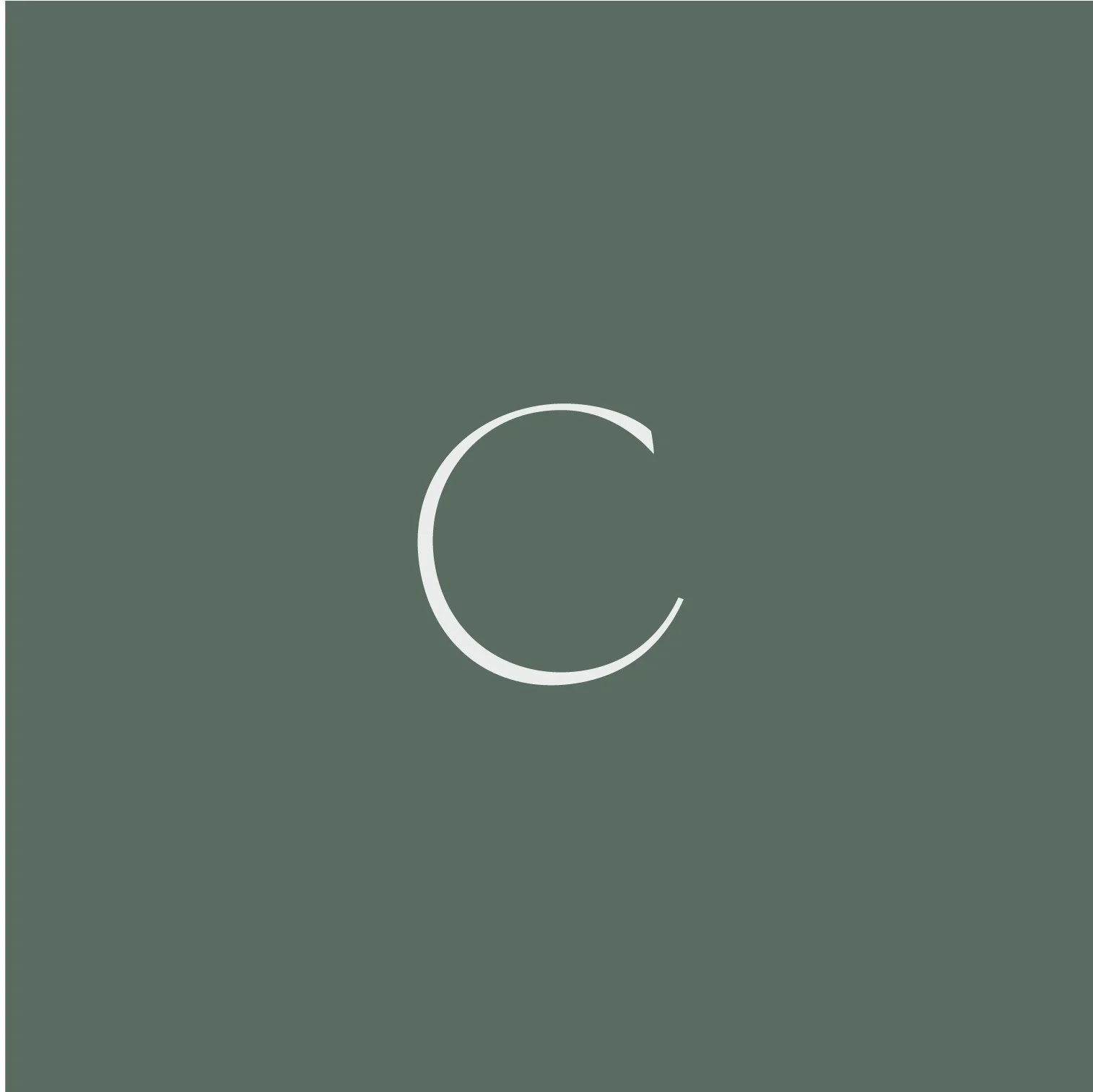 Social graphics-02.jpg