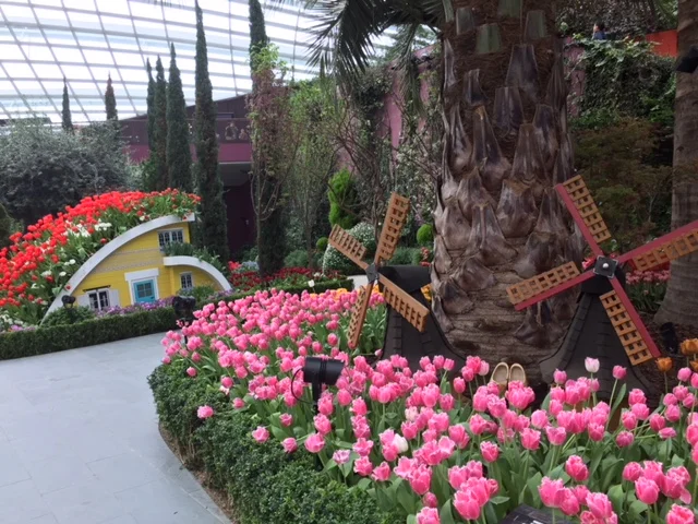 Tulipmania! 
