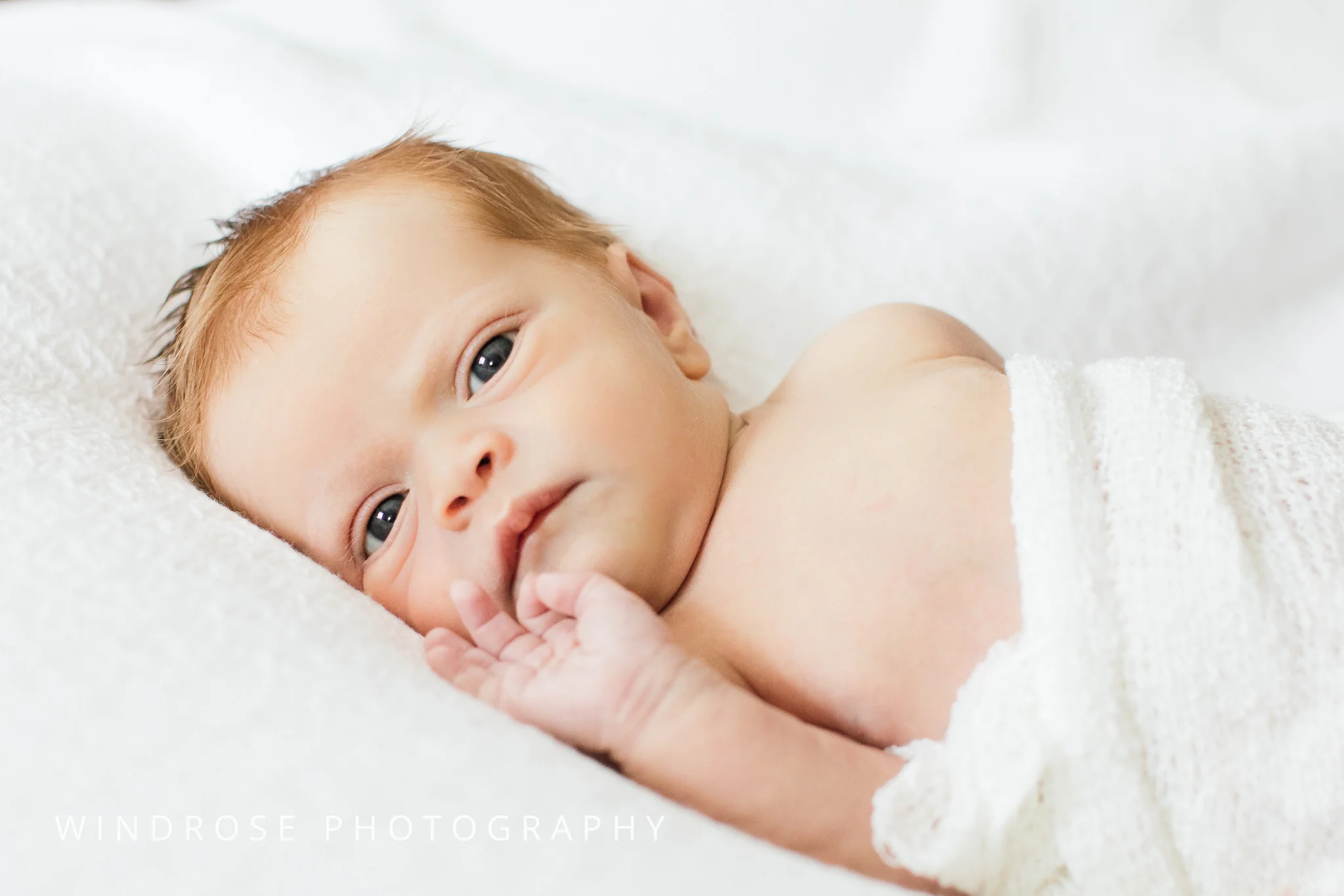Rochester-MN-Newborn-Photography-Portraits-6.jpg