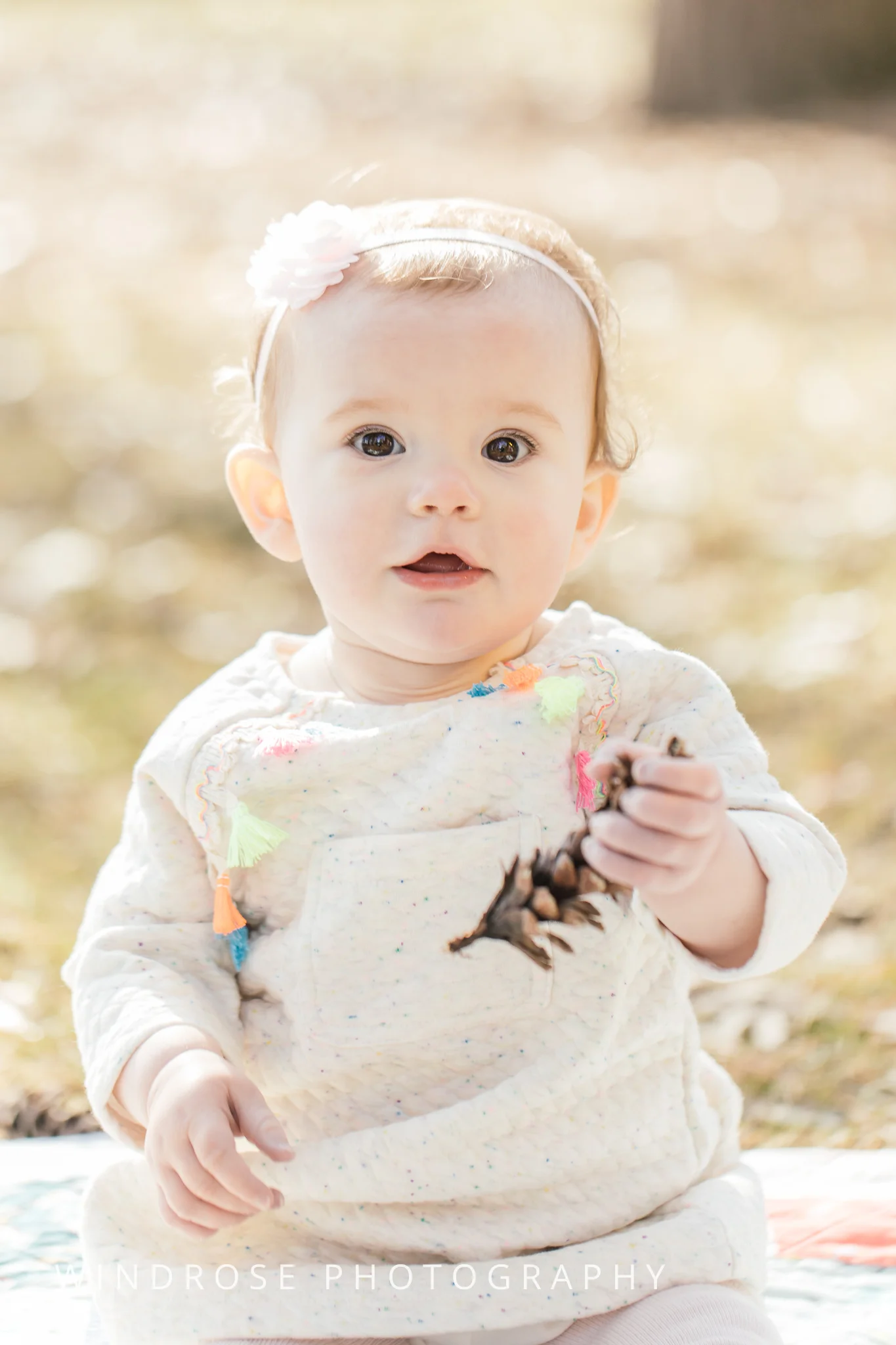 one-year-portraits-rochester-mn-plummer-house-9.jpg