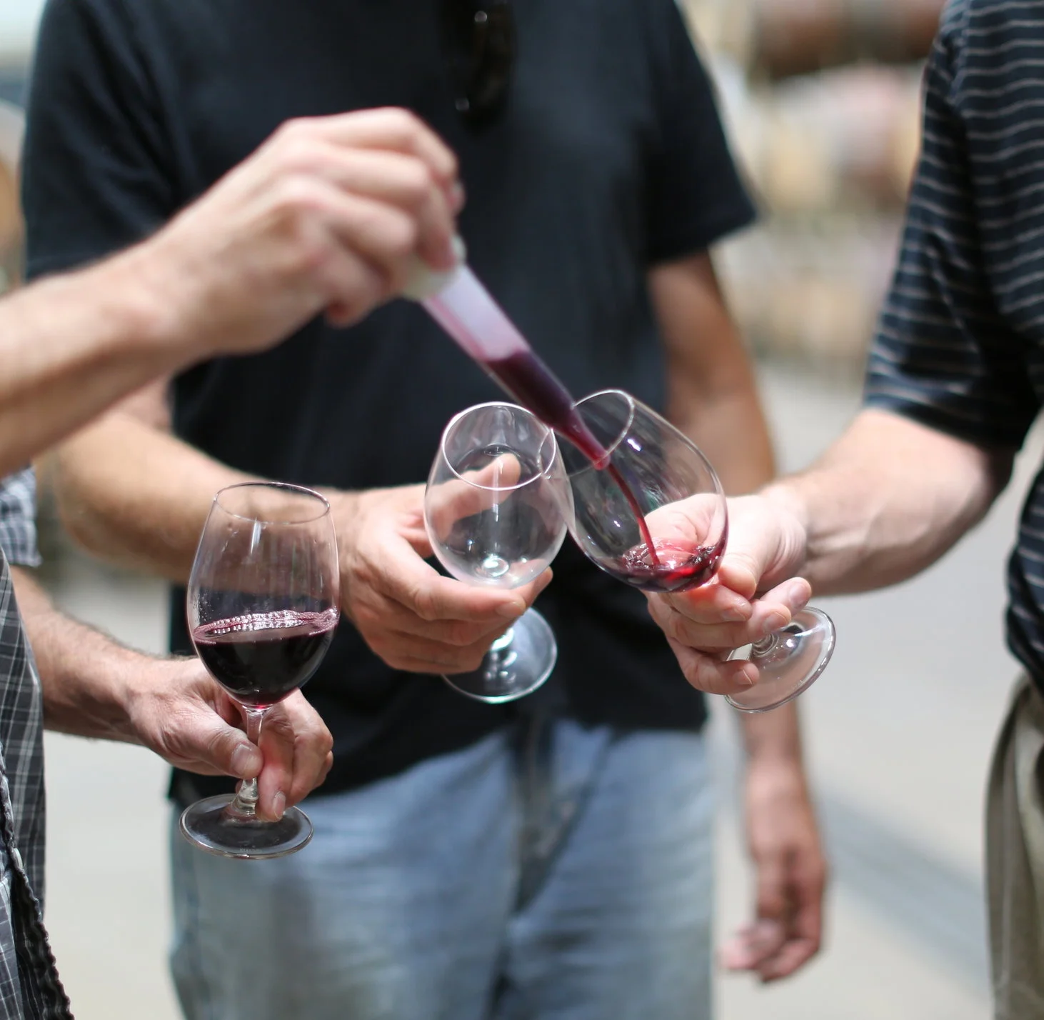 Barrel_Tasting_Wines