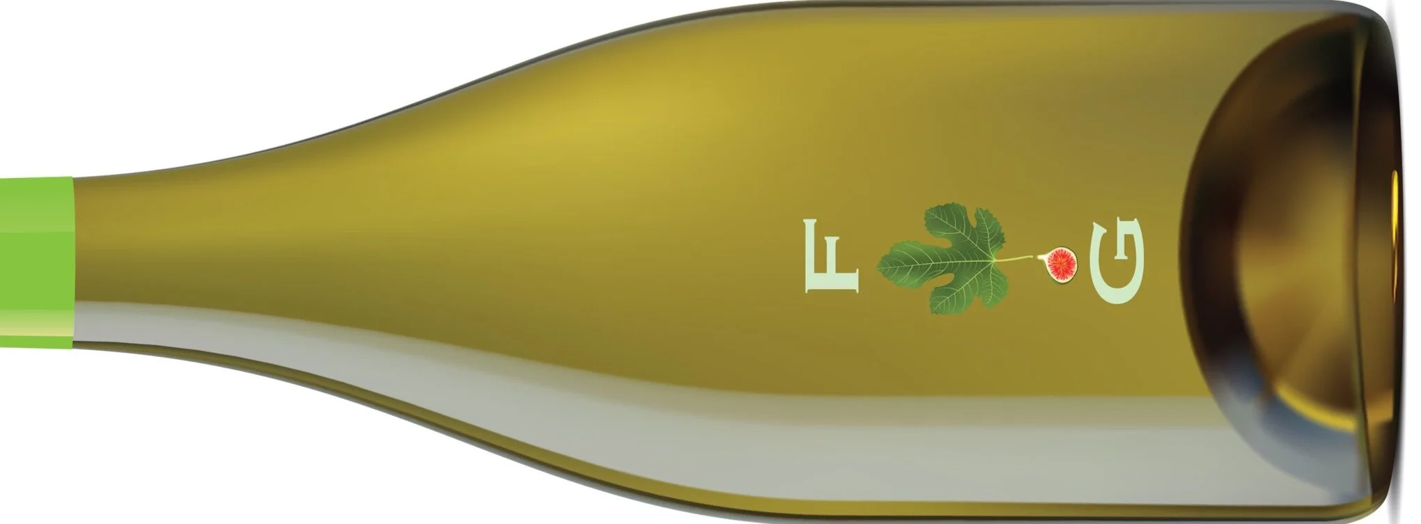 FIG_Horizontal.jpg