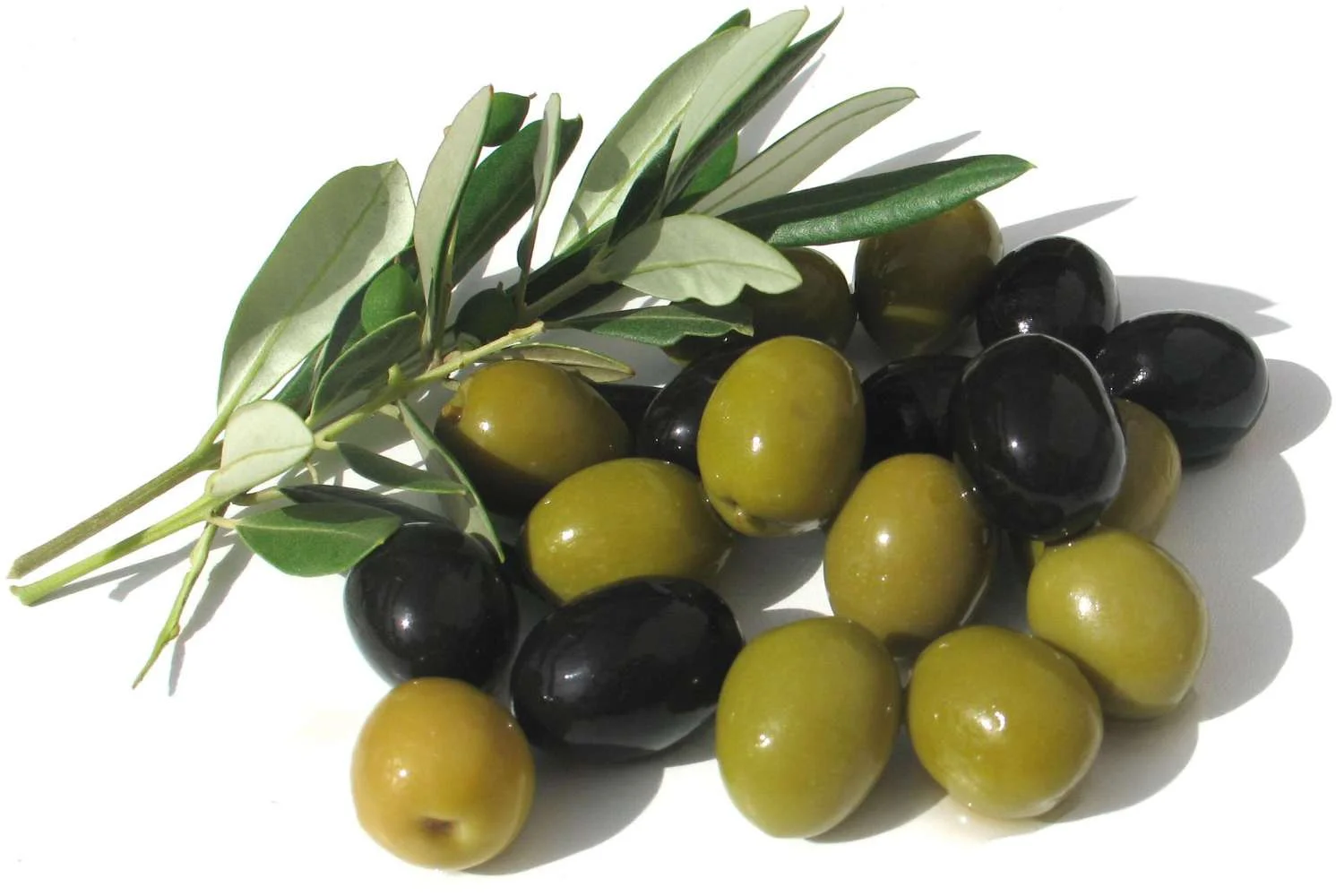 Olives and Olive Oil