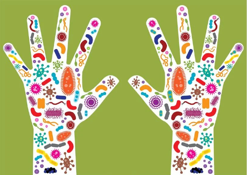 The Gut Microbiome Revolution