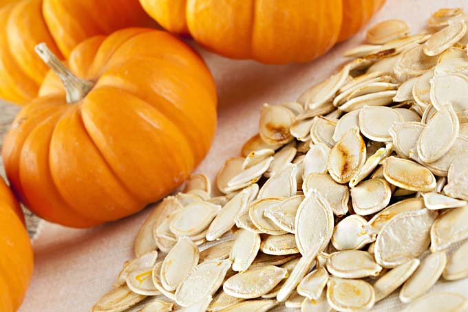 Pumpkin Seeds - Pepitas