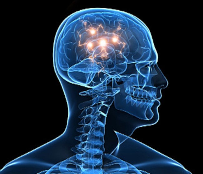 brain-function.jpg
