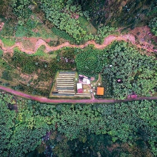 Insane picture of Vunga CWS from above by @3to2 ! The @fiveelephant write up on Vinga for their subscription makes a nice bit of Sunday reading. Link in bio.

We'll also be featuring their roast of  Vunga at our cupping at @darcyskaffe on Friday the 