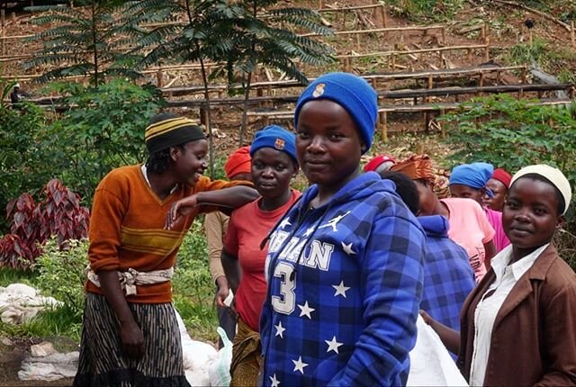 Not only are women key to producing coffee in Rwanda, they are also playing a key role in shaping Rwanda's future. 30% of parliamentary positions are held by women, by constituional mandate, with representation generally higher than that. Over the la