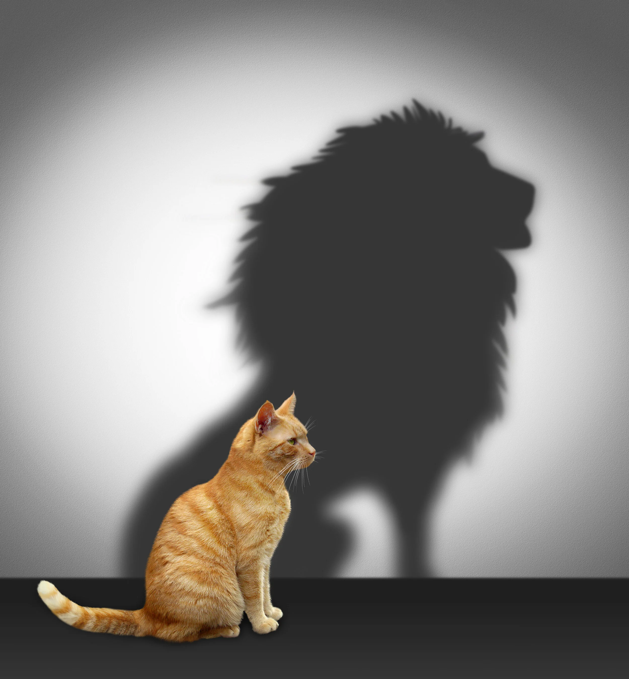 Day 5: Have Courage