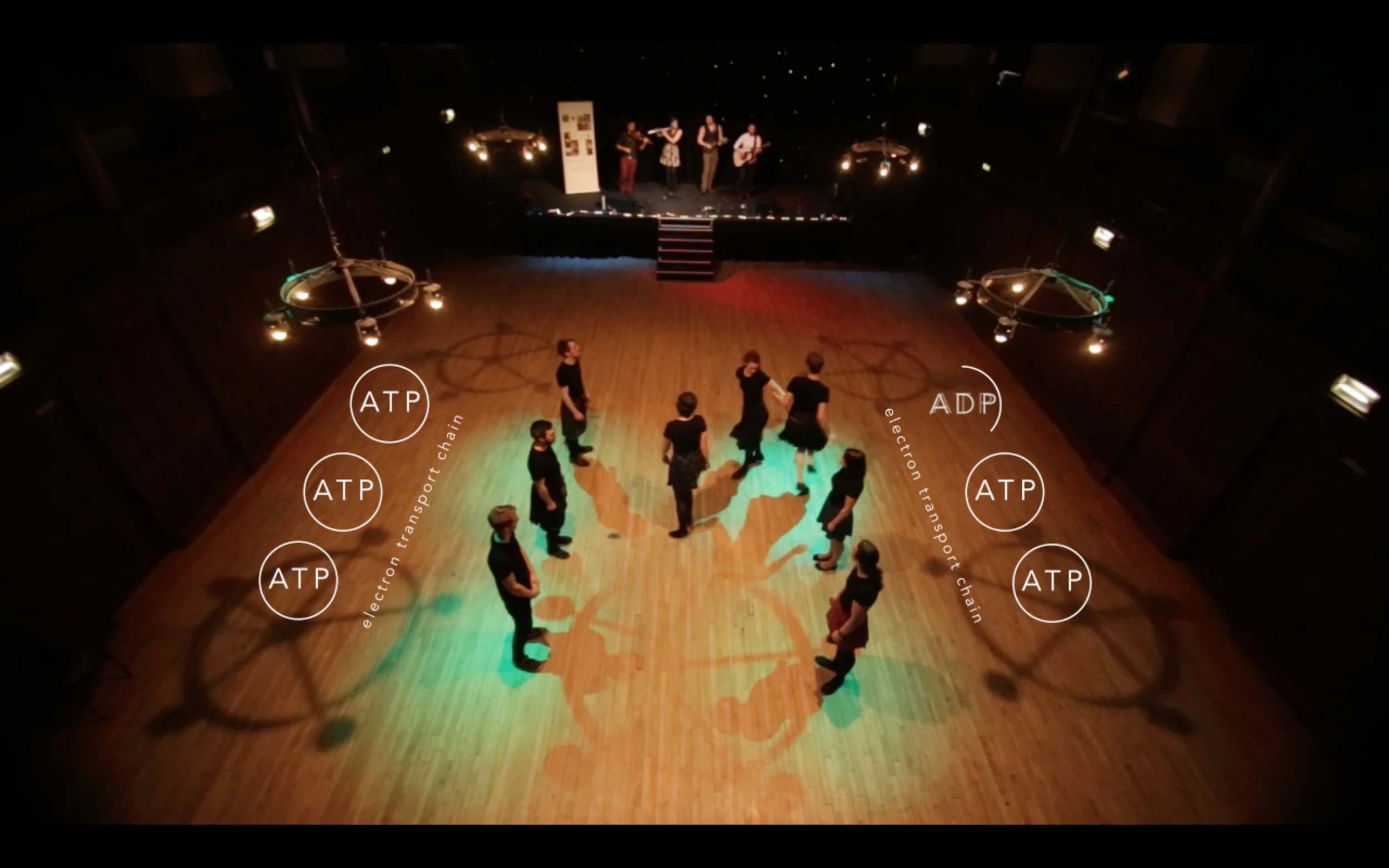 StriptheLeaf Screenshot.jpg