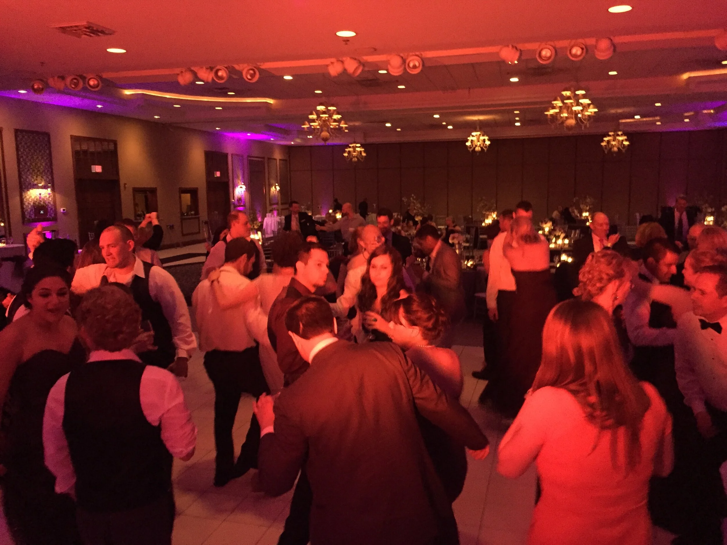 Awesome Swan Lake wedding DJ