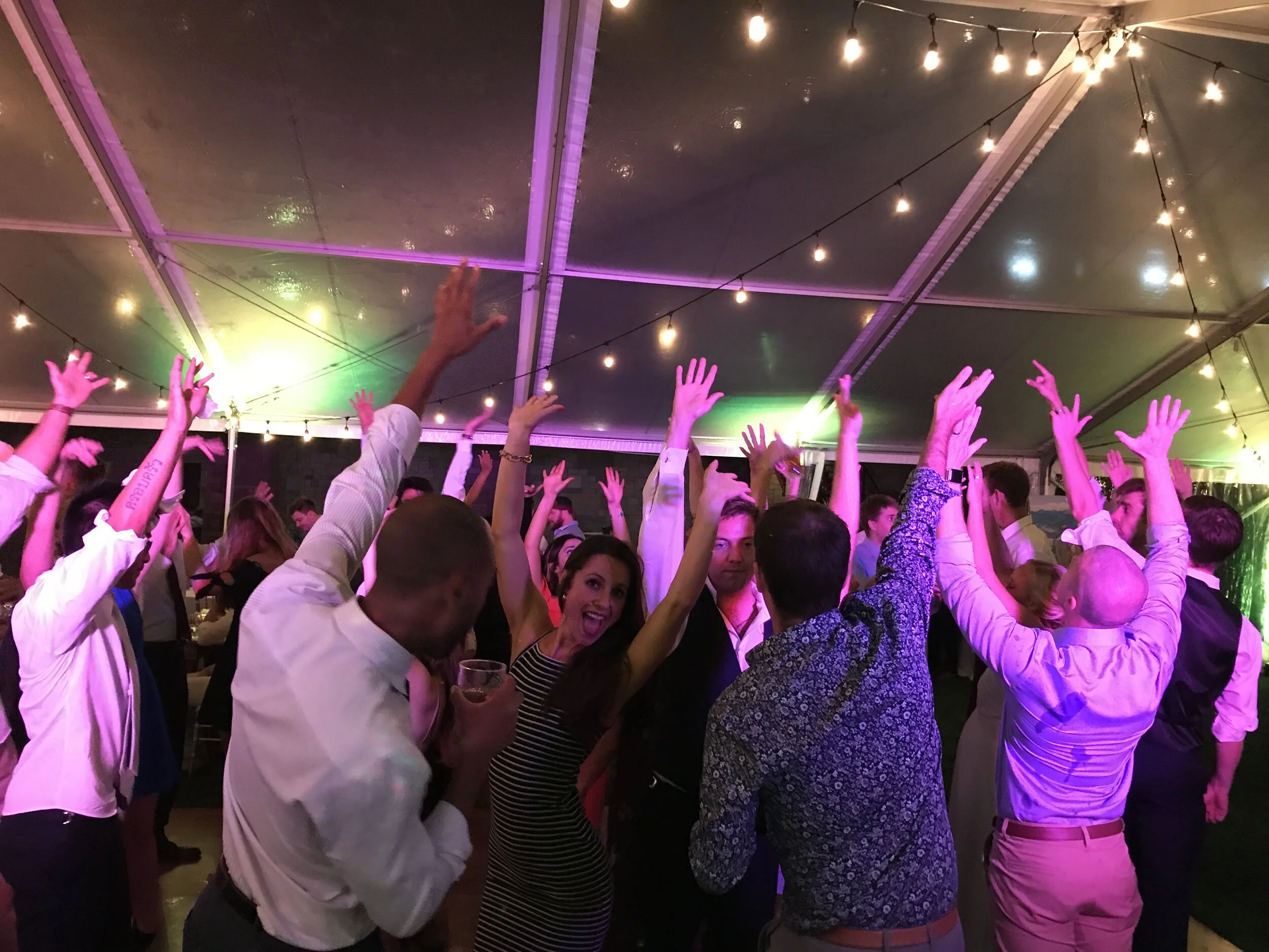 Fun wedding reception DJ in Bridgman MI