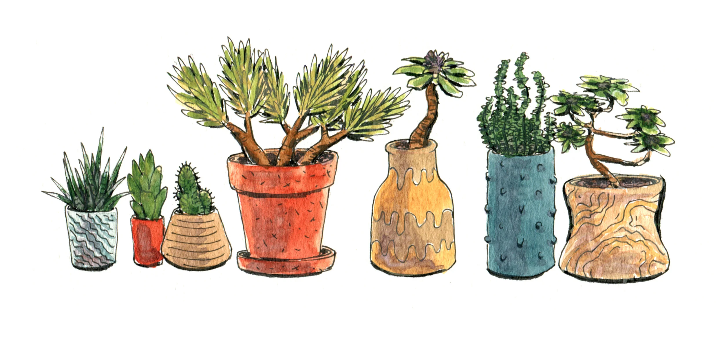 SmallPlants.jpg