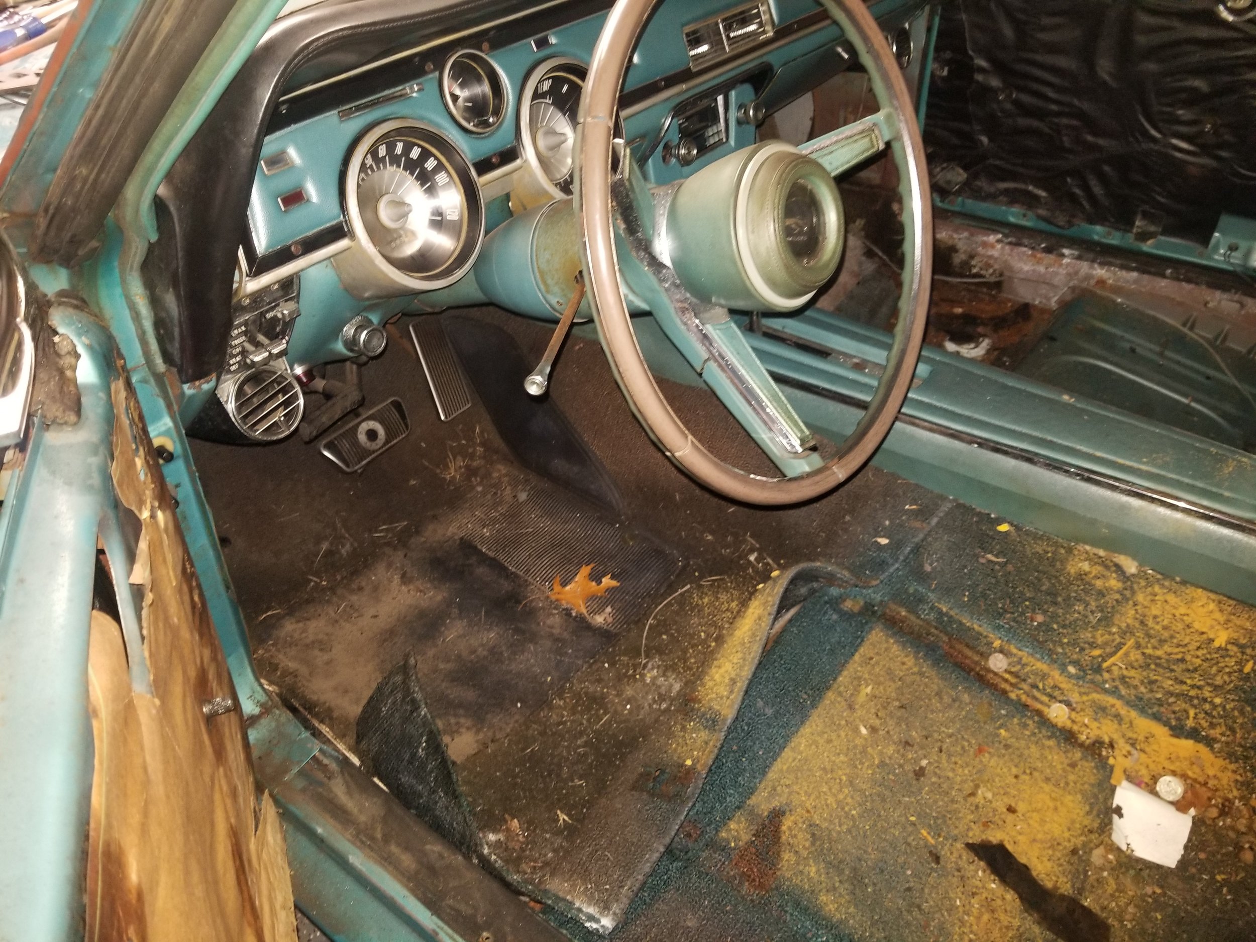 Driver's Side