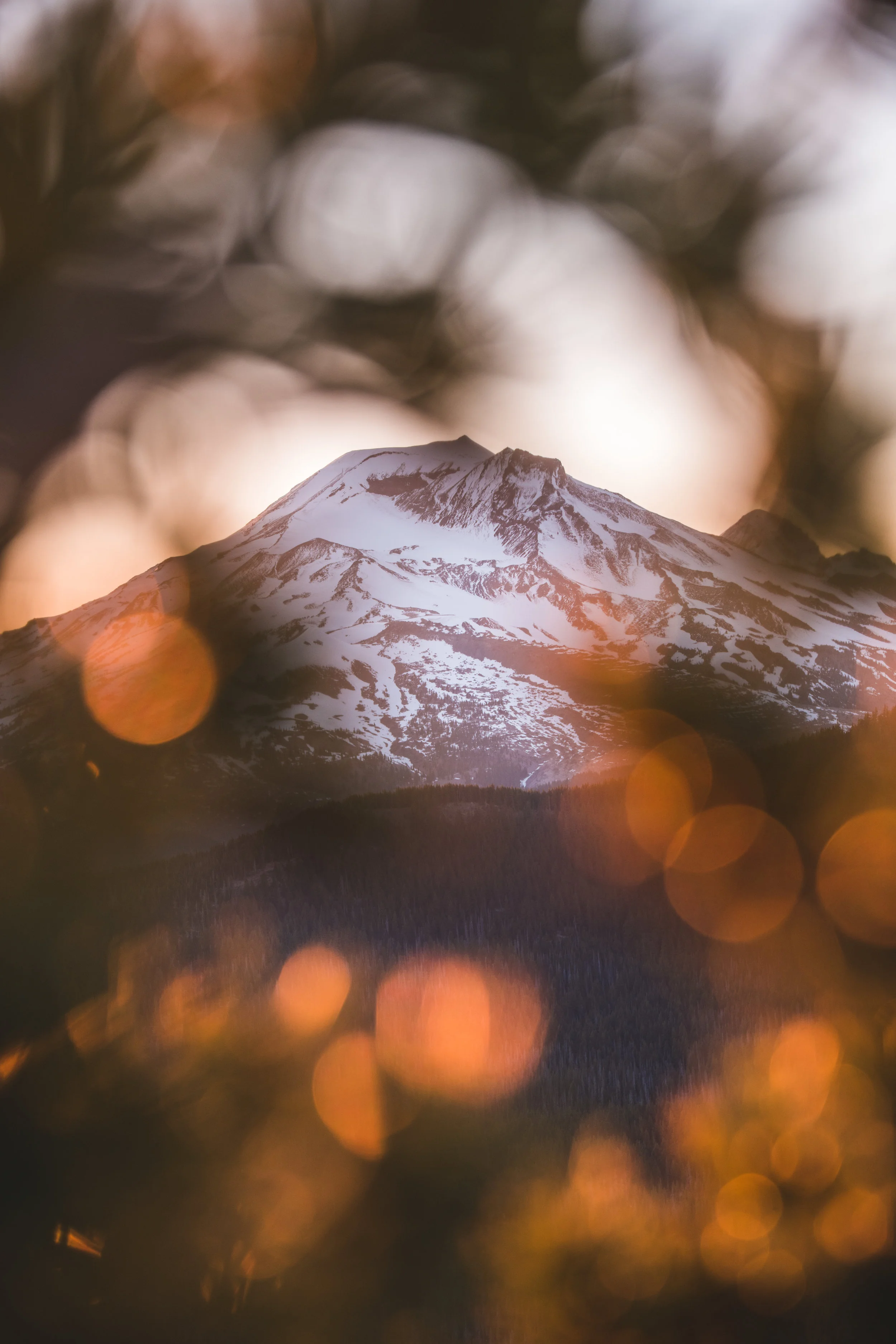 South Sister at Sunset