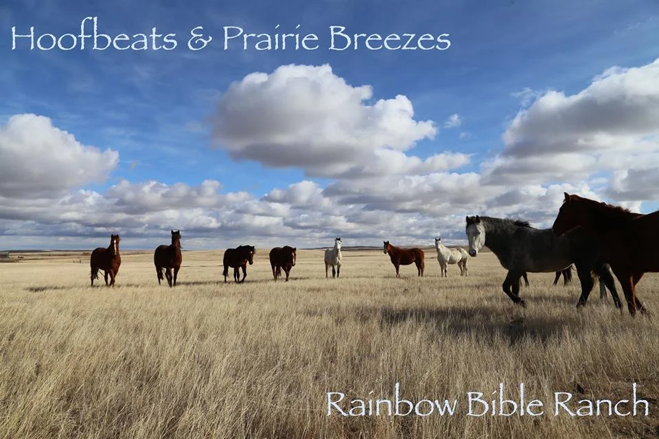 RAINBOW BIBLE RANCH CELEBRATING 40 YEARS OF MINISTRY AND OUTREACH Watch for more information on "HOOFBEATS & PRAIRIE BREEZES" ... THE EVENT