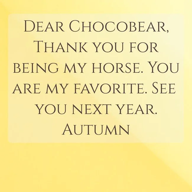 dear-chocobearthank-you-for-being-my-horse-you-are-my.jpg