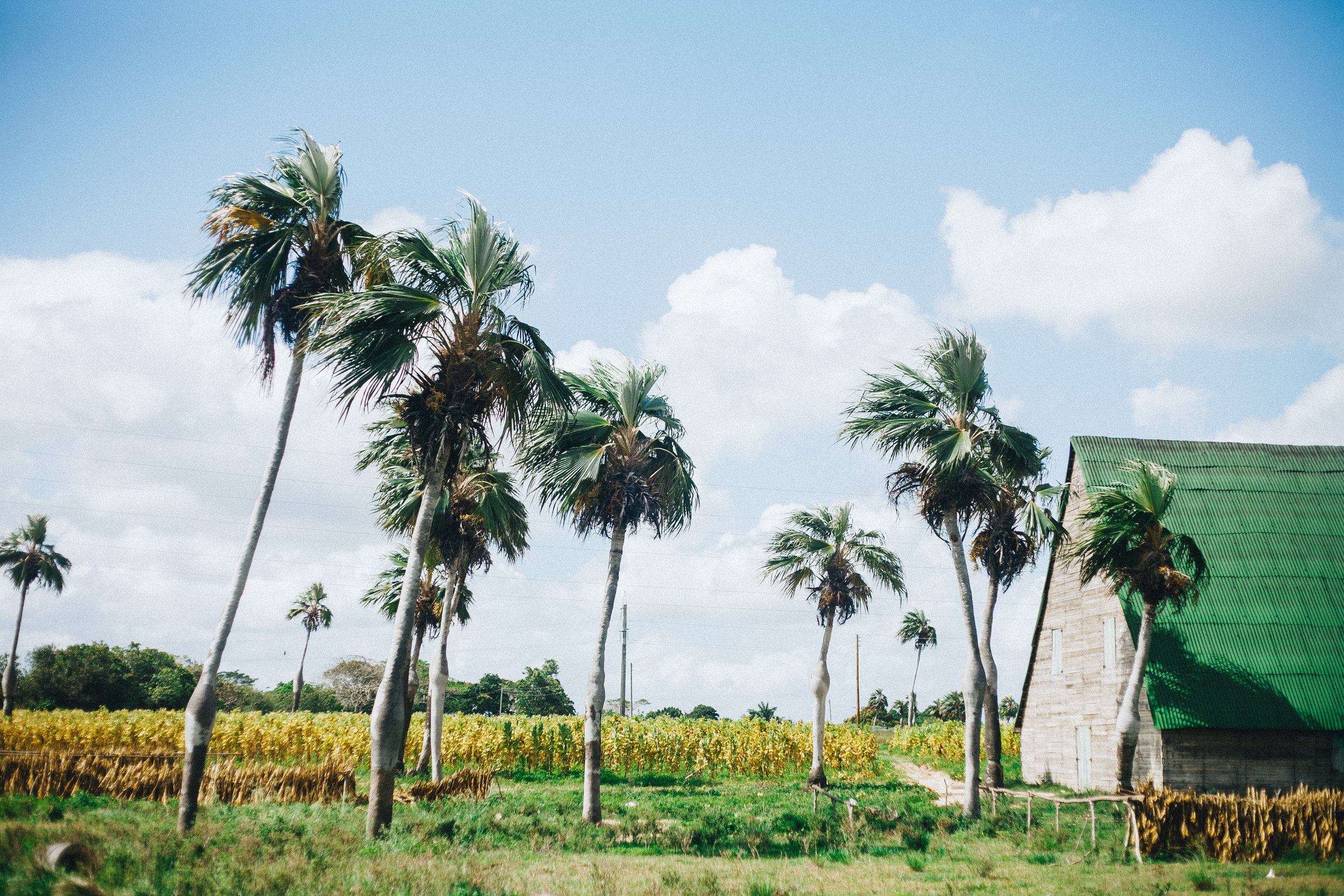 Vinales, Cuba