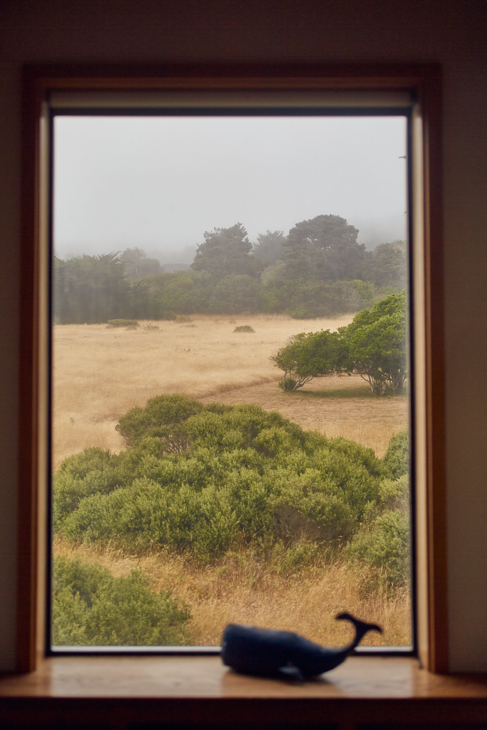 Sea Ranch, California