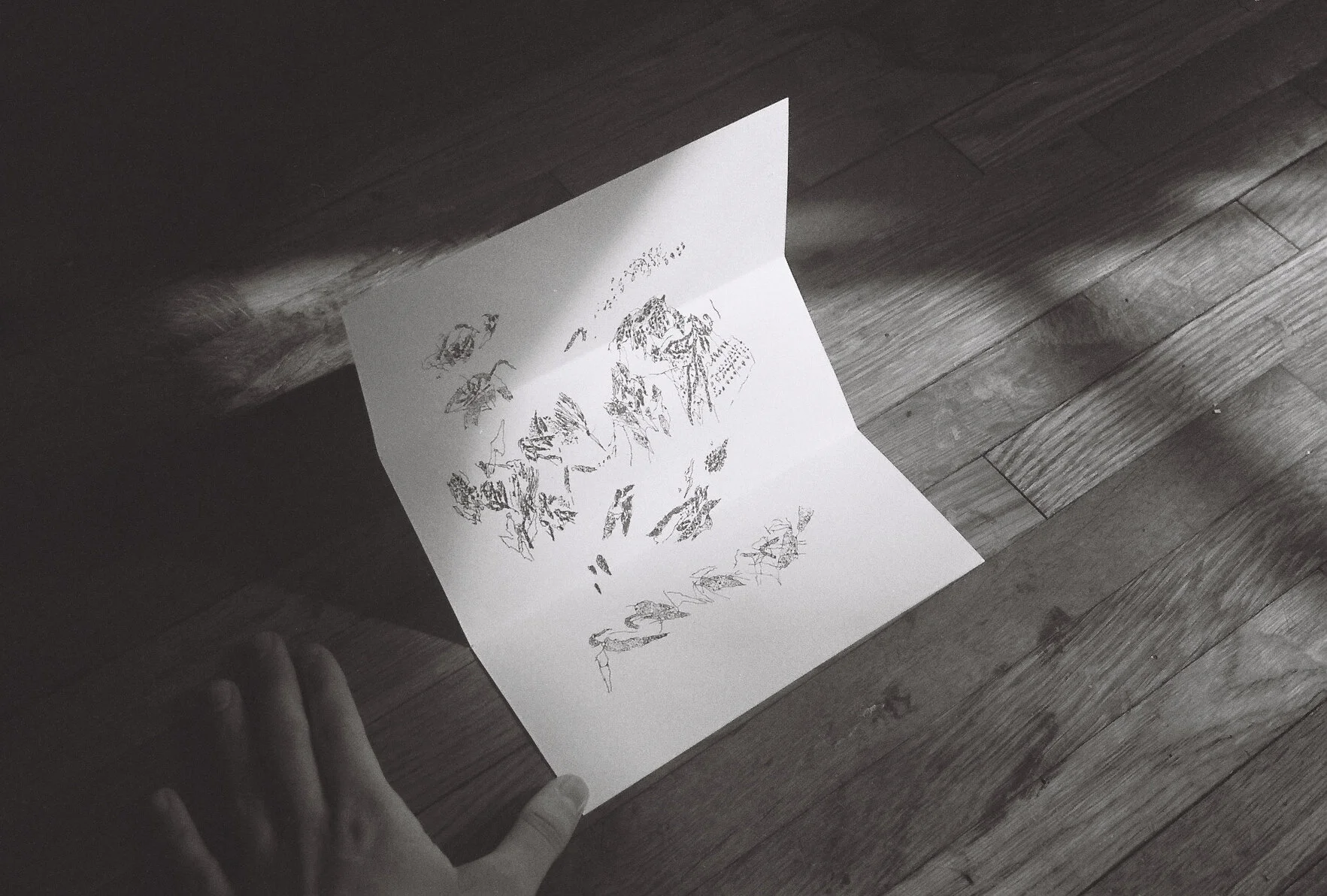 winterdrawings.1.jpg